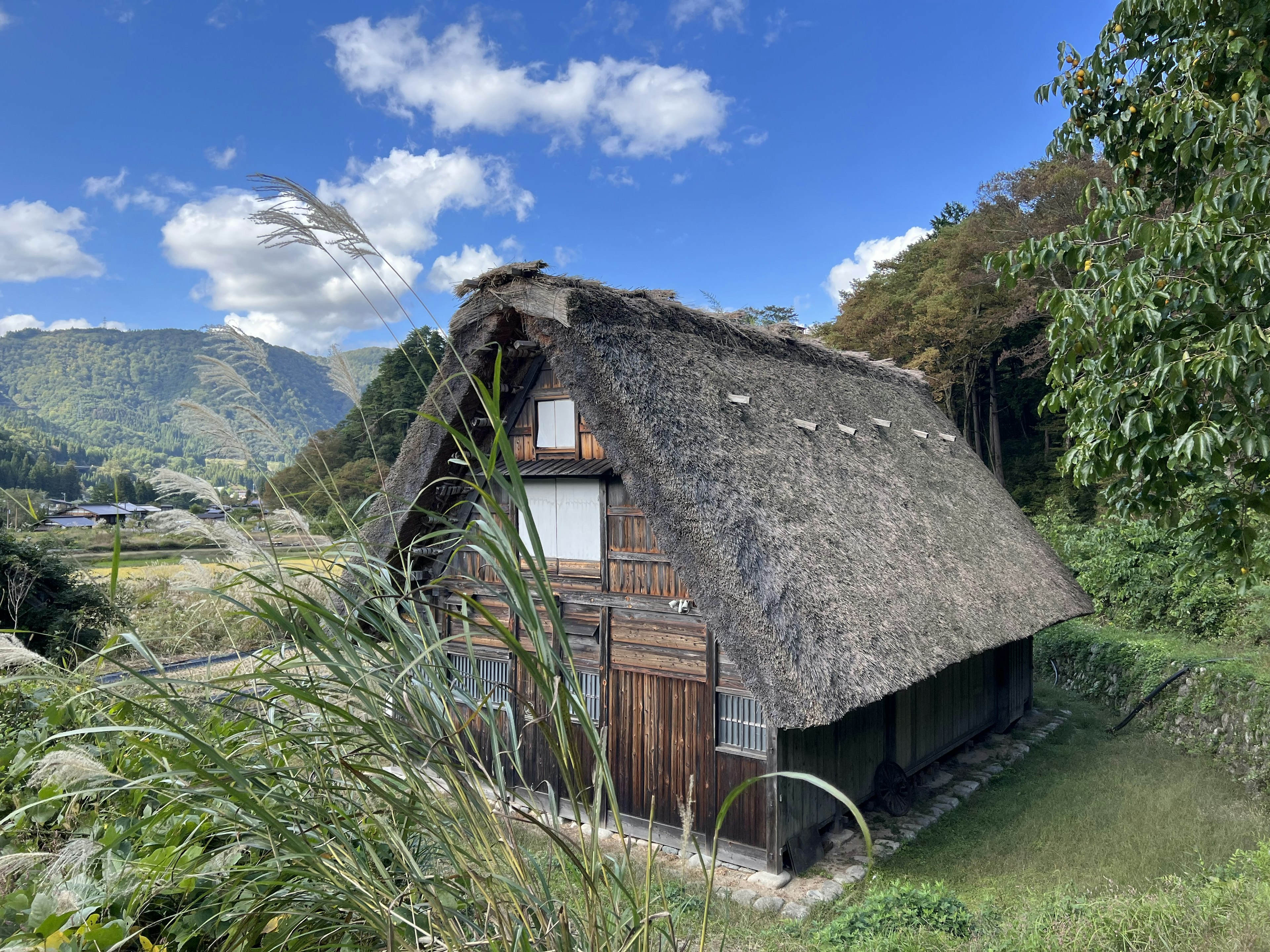 伝統的な茅葺き屋根の家が緑の草原の中に立っている