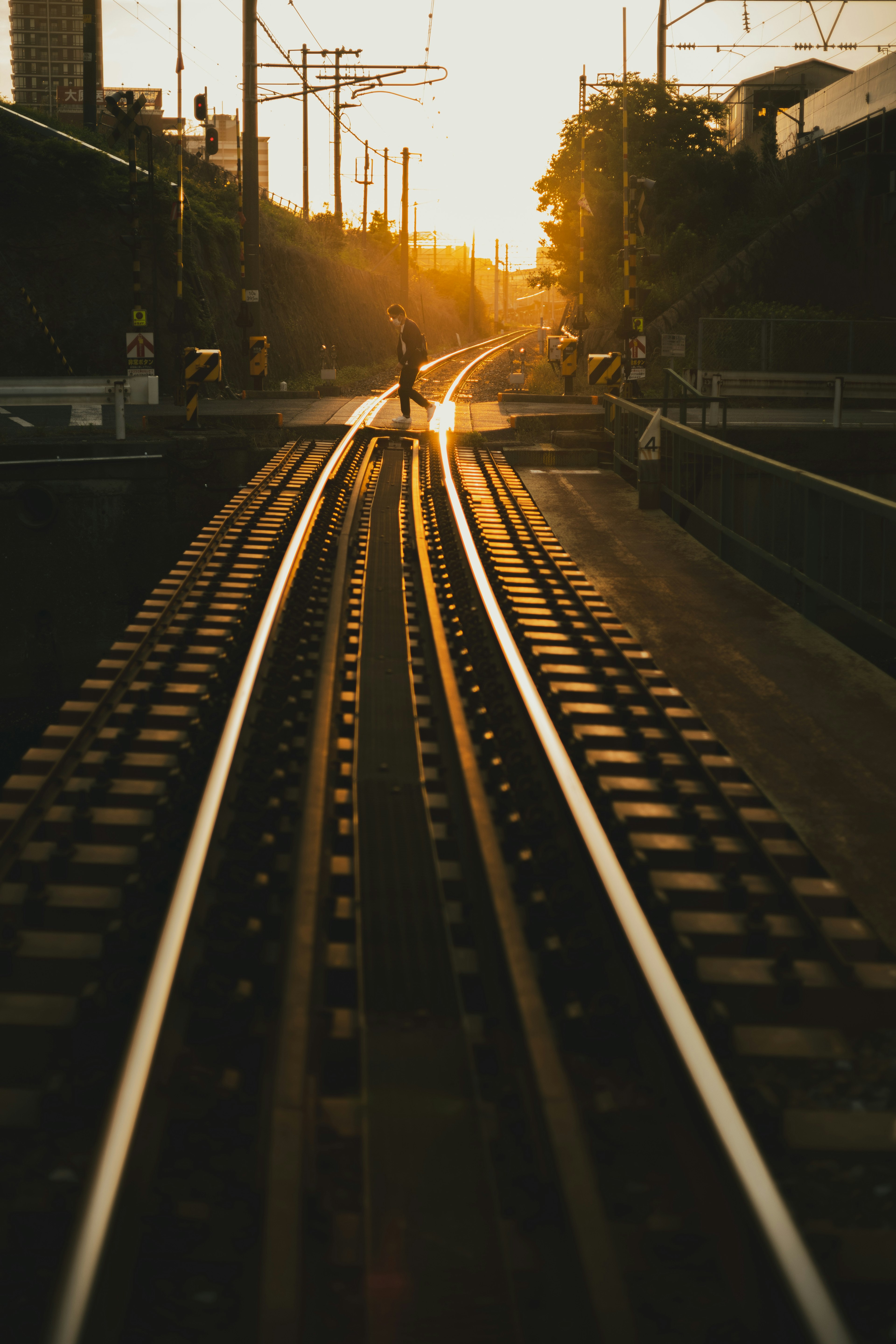 夕日を背景にした鉄道のレールが交差するシーン