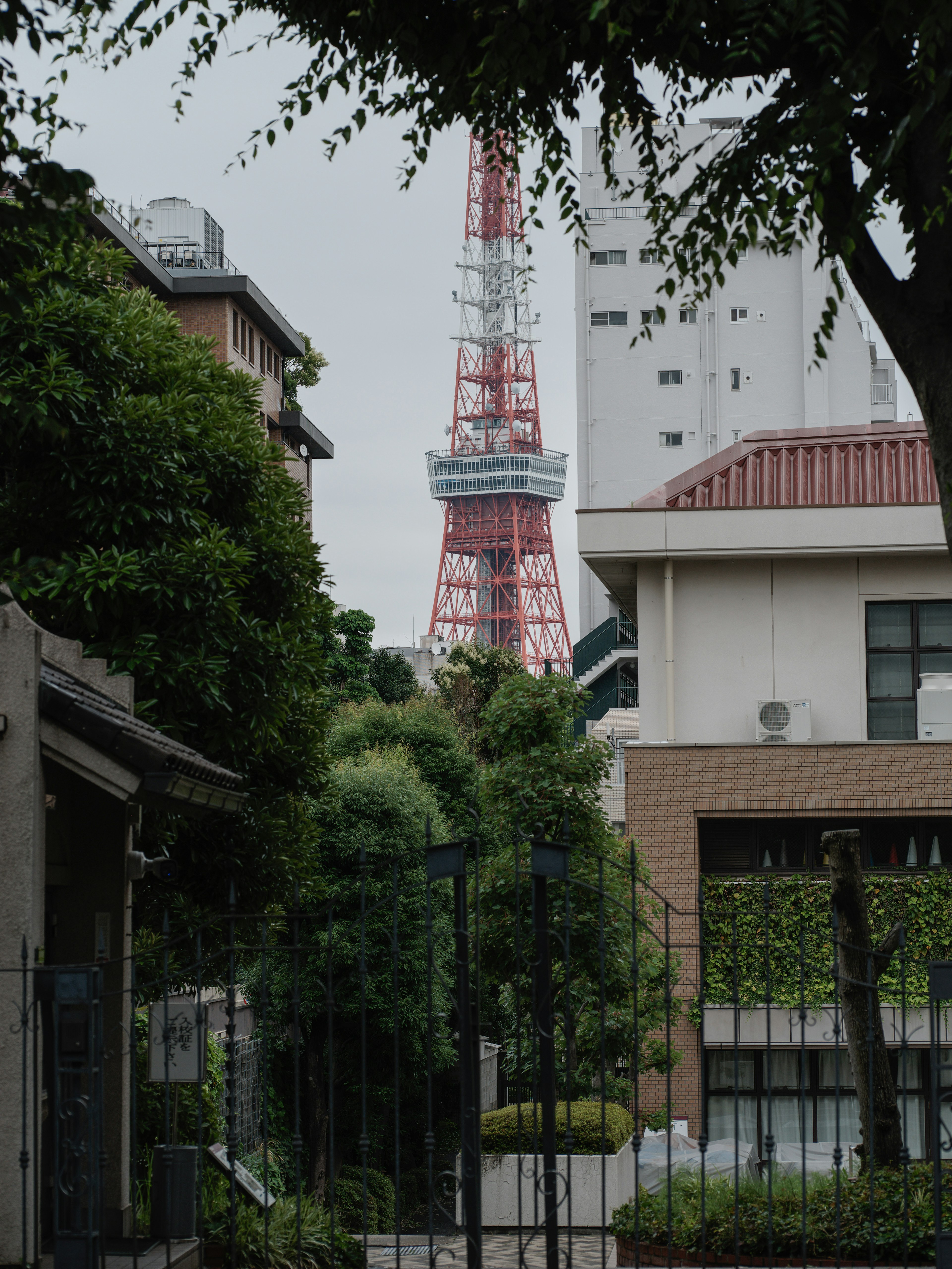 東京タワーが見える緑豊かな風景と建物