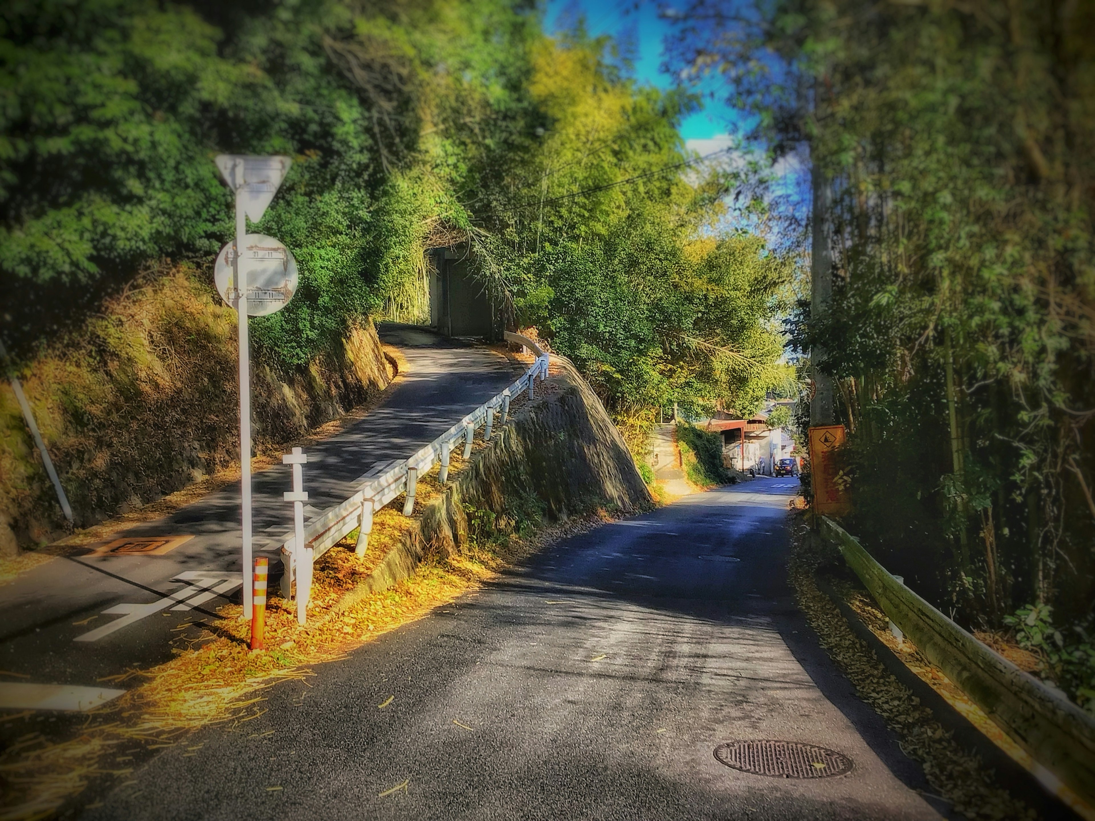 Scena di una strada stretta circondata da vegetazione e un segnale stradale