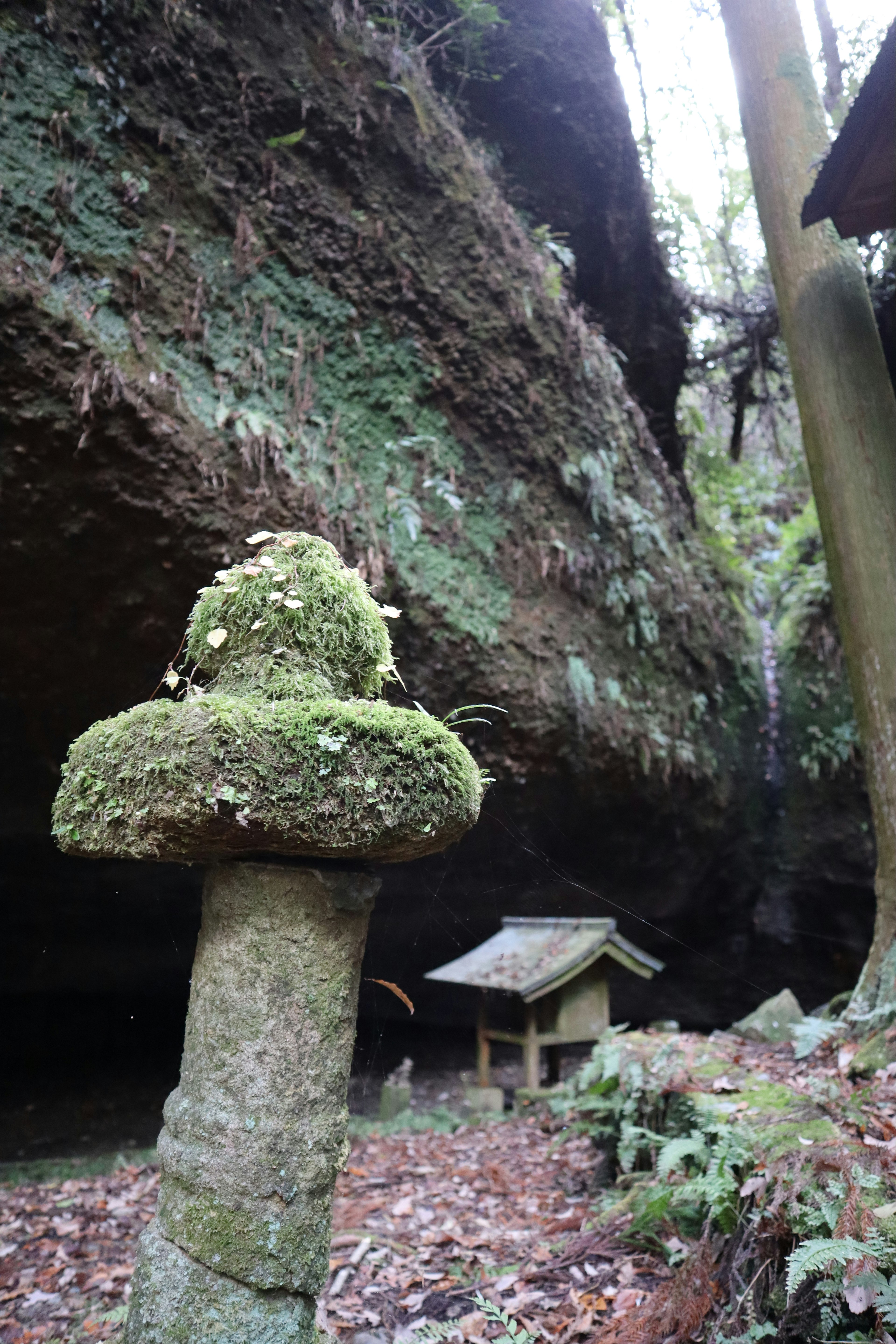 Moss-covered stone lantern in a natural setting with a large rock