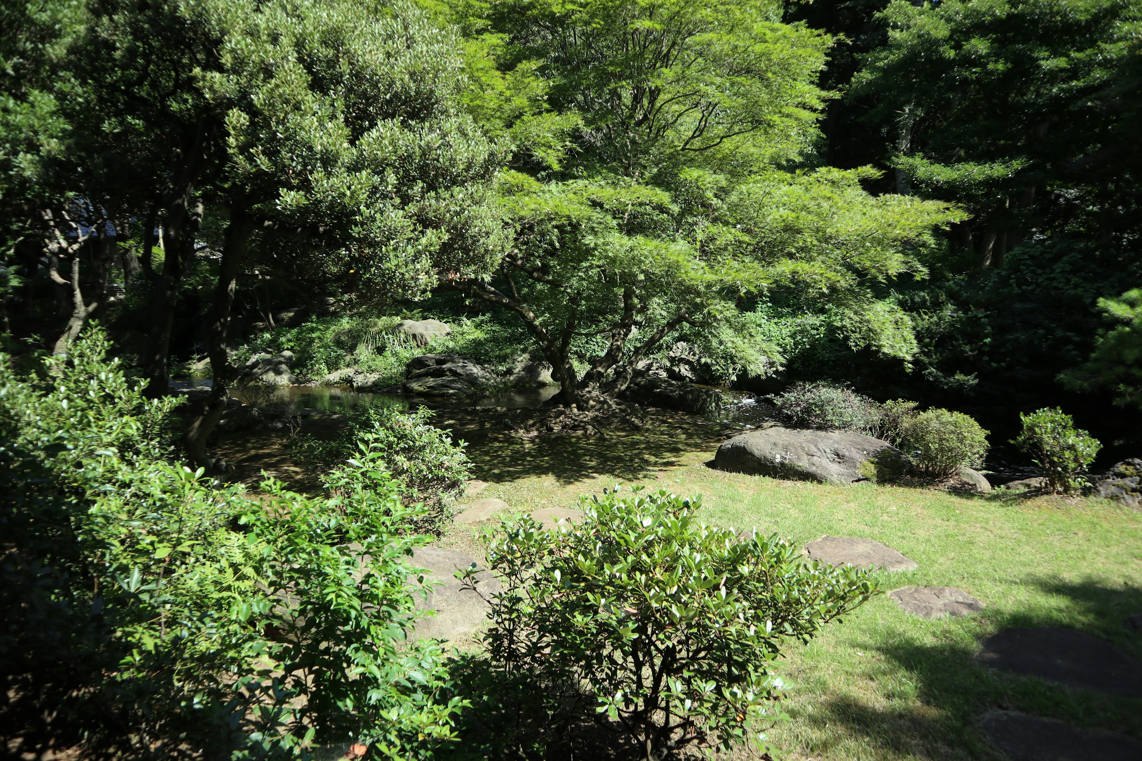 Lush garden landscape featuring trees and a small pond