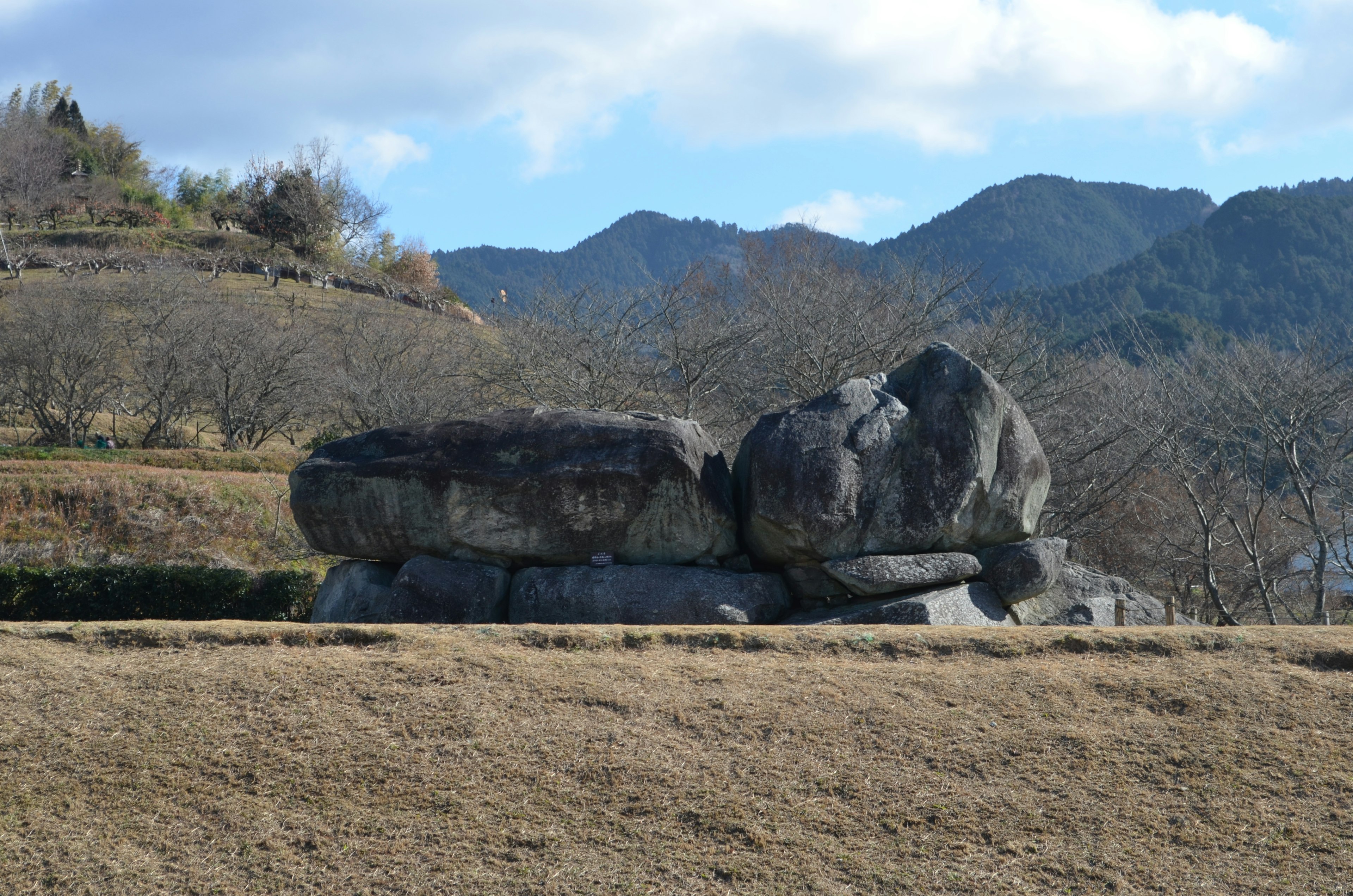 大石頭在開放的田野中，背景有山脈