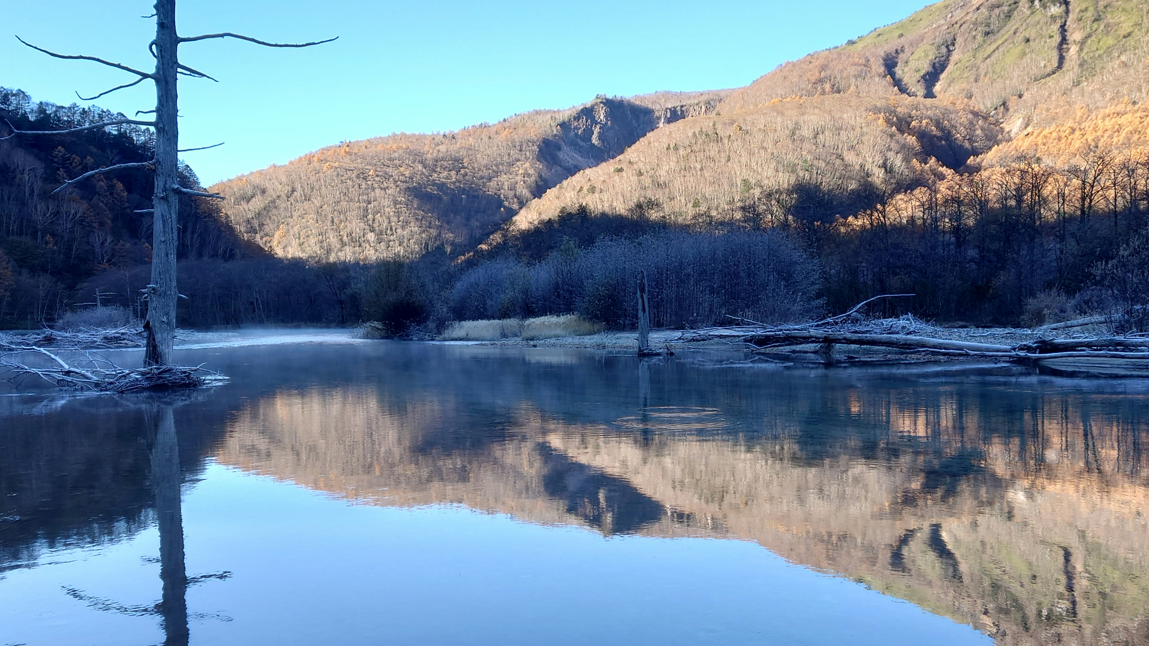 Danau tenang yang memantulkan gunung dan pohon yang indah