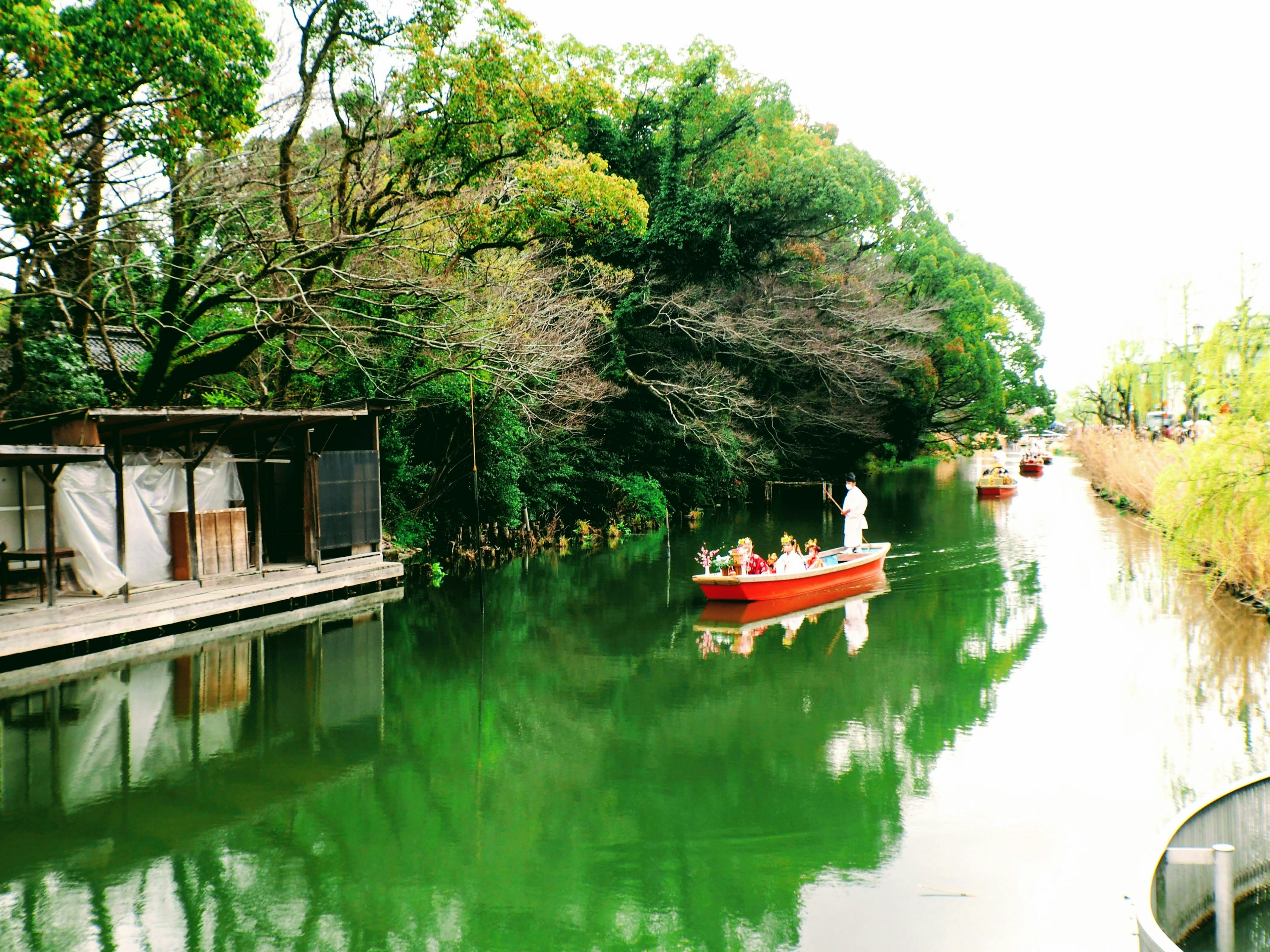 Vista escénica de una vía fluvial verde con un pequeño bote flotando rodeado de vegetación exuberante y árboles