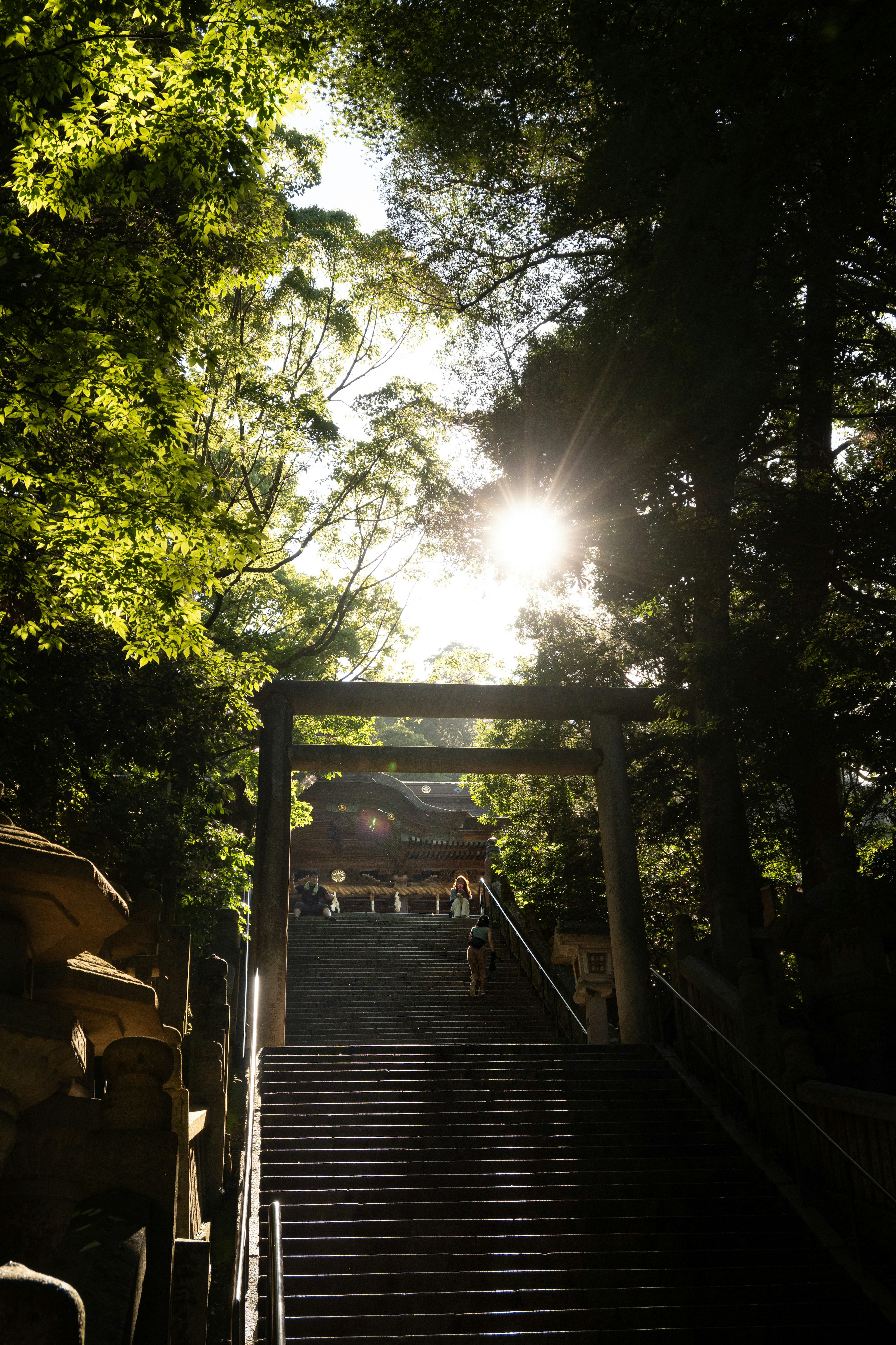 Escaleras que conducen a un torii rodeado de vegetación exuberante