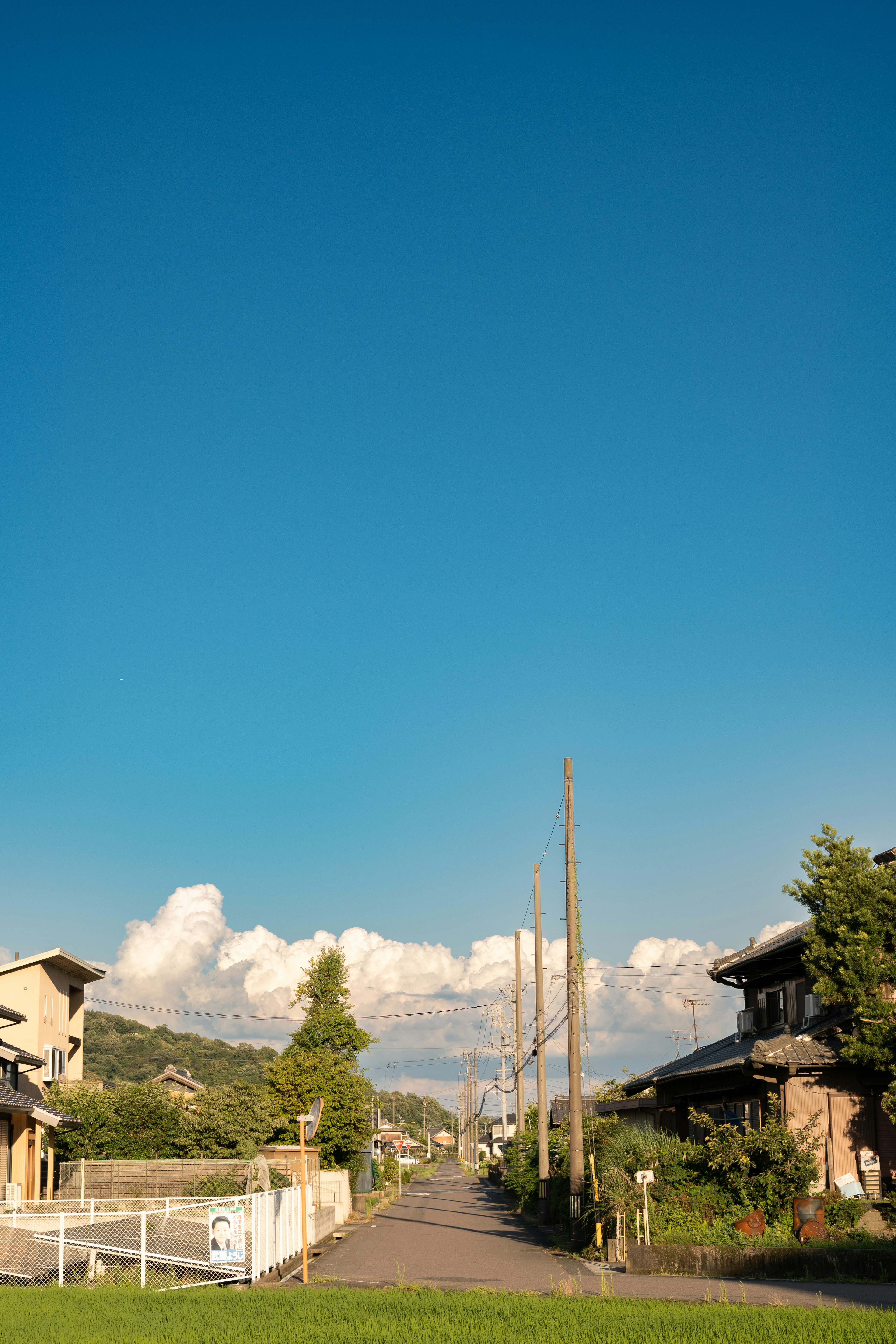 A tranquil rural road under a clear blue sky with surrounding houses