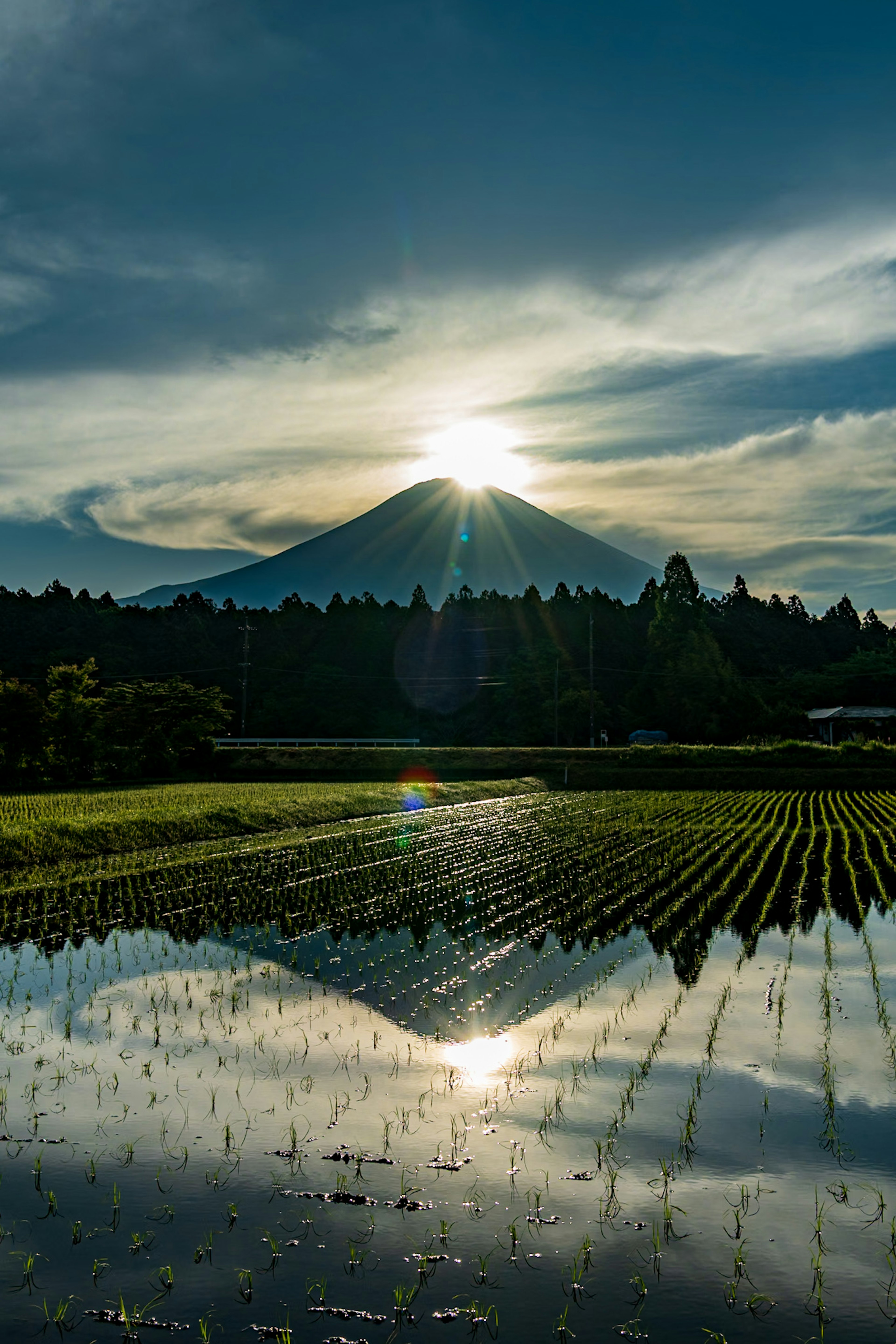 美しい田んぼと富士山の風景 日の出の光が山の上に輝き 水面に映る景色