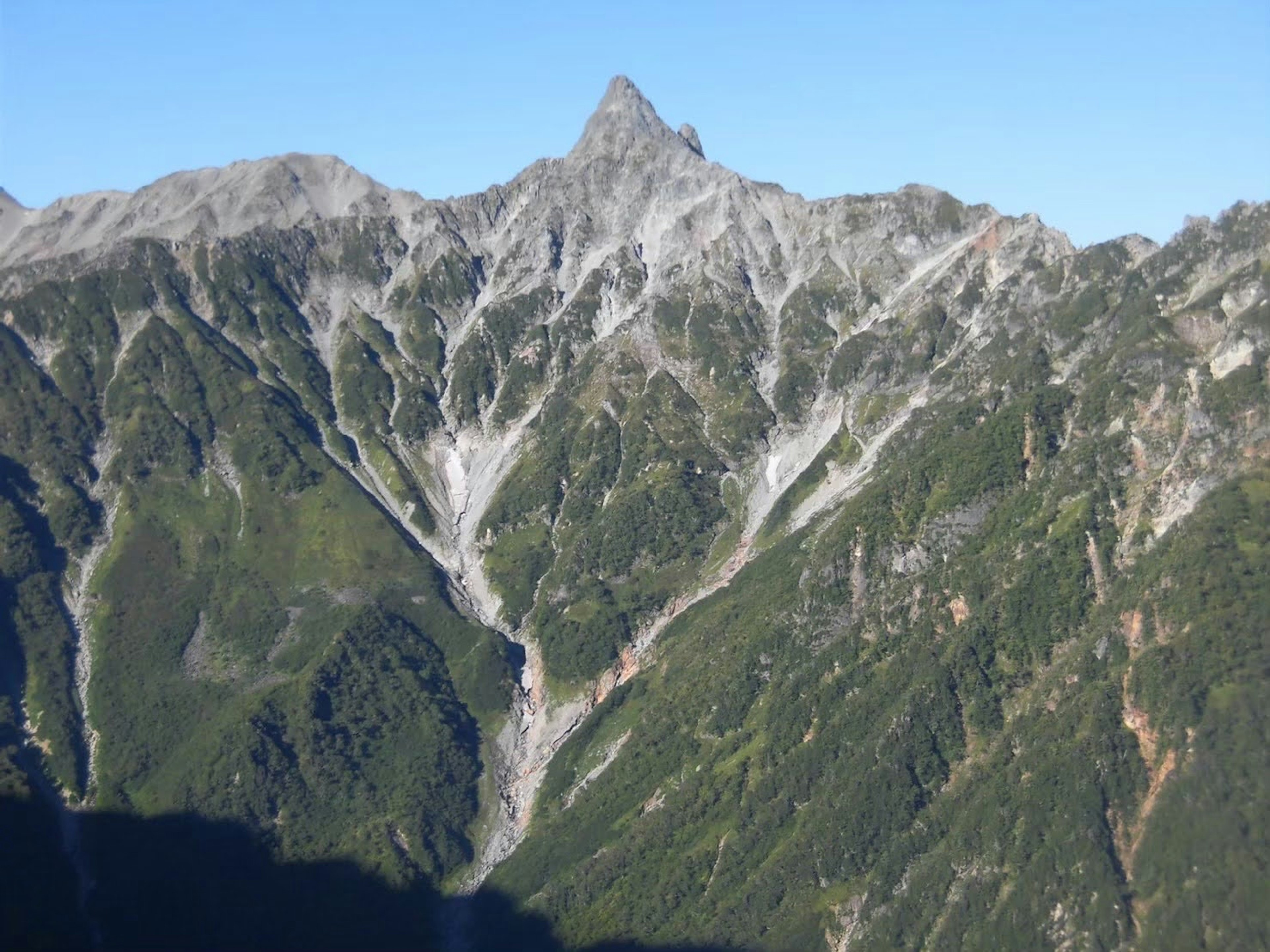 美しい山の景色が広がる緑豊かな谷と尖った山の頂