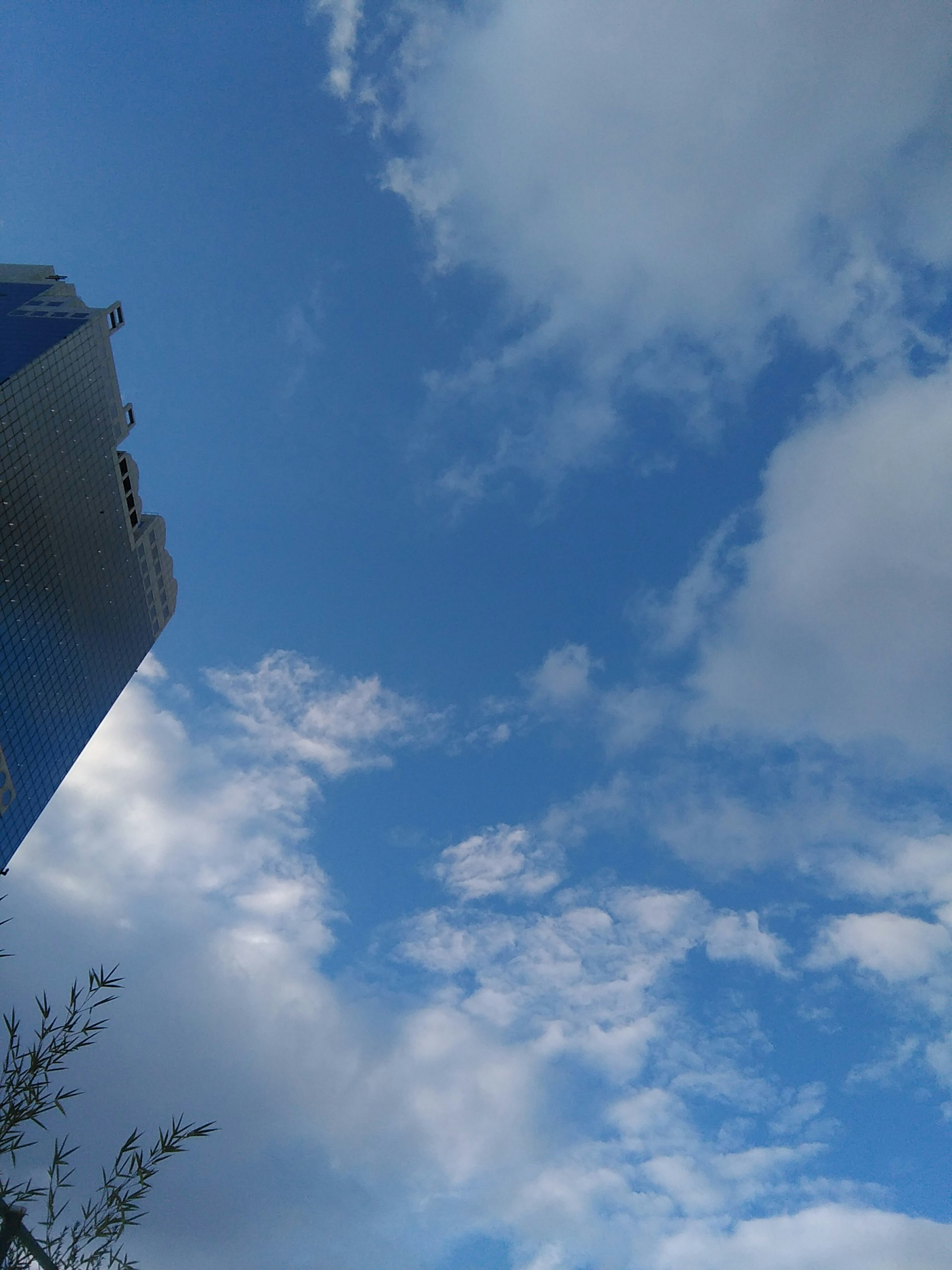 Ein Abschnitt des blauen Himmels mit weißen Wolken und einem sichtbaren Teil eines Wolkenkratzers