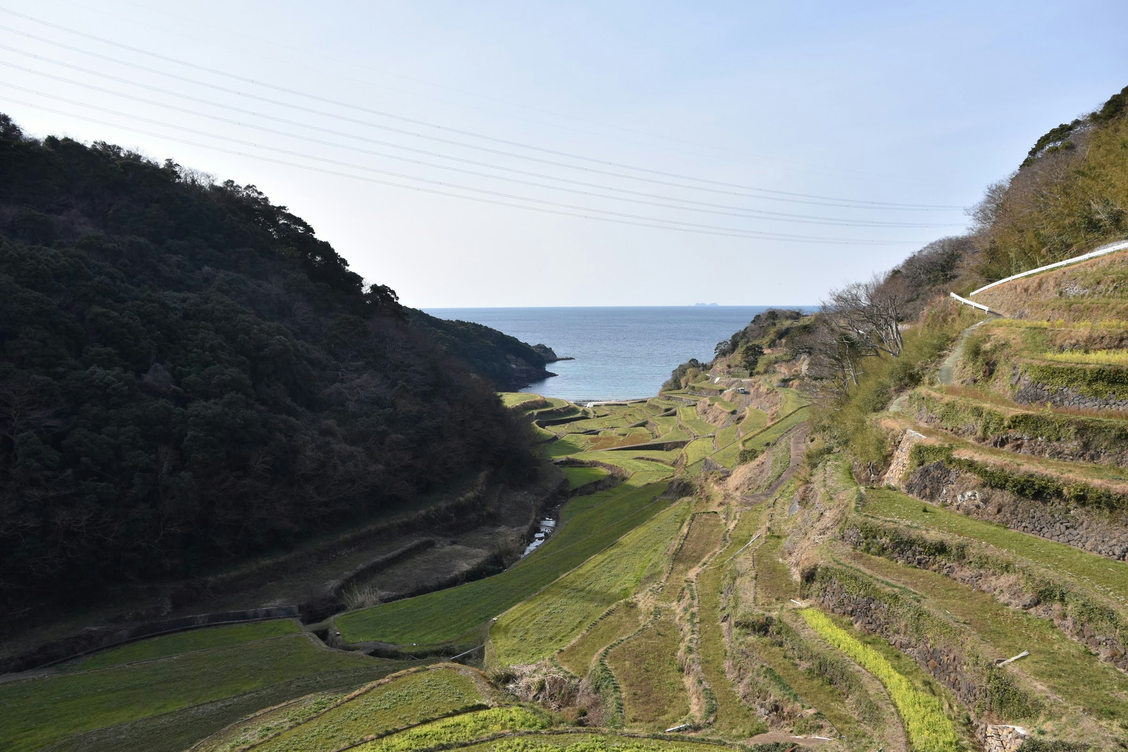 Scenic view of terraced rice fields leading to the ocean