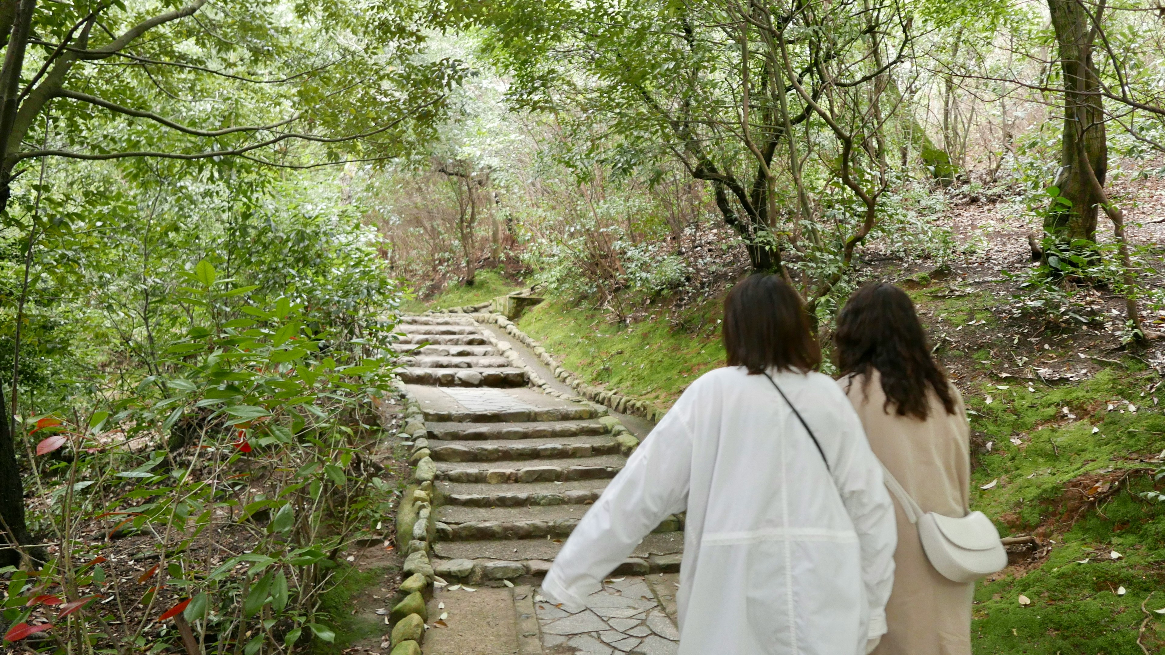 緑豊かな森の中にある石の階段を上る二人の女性