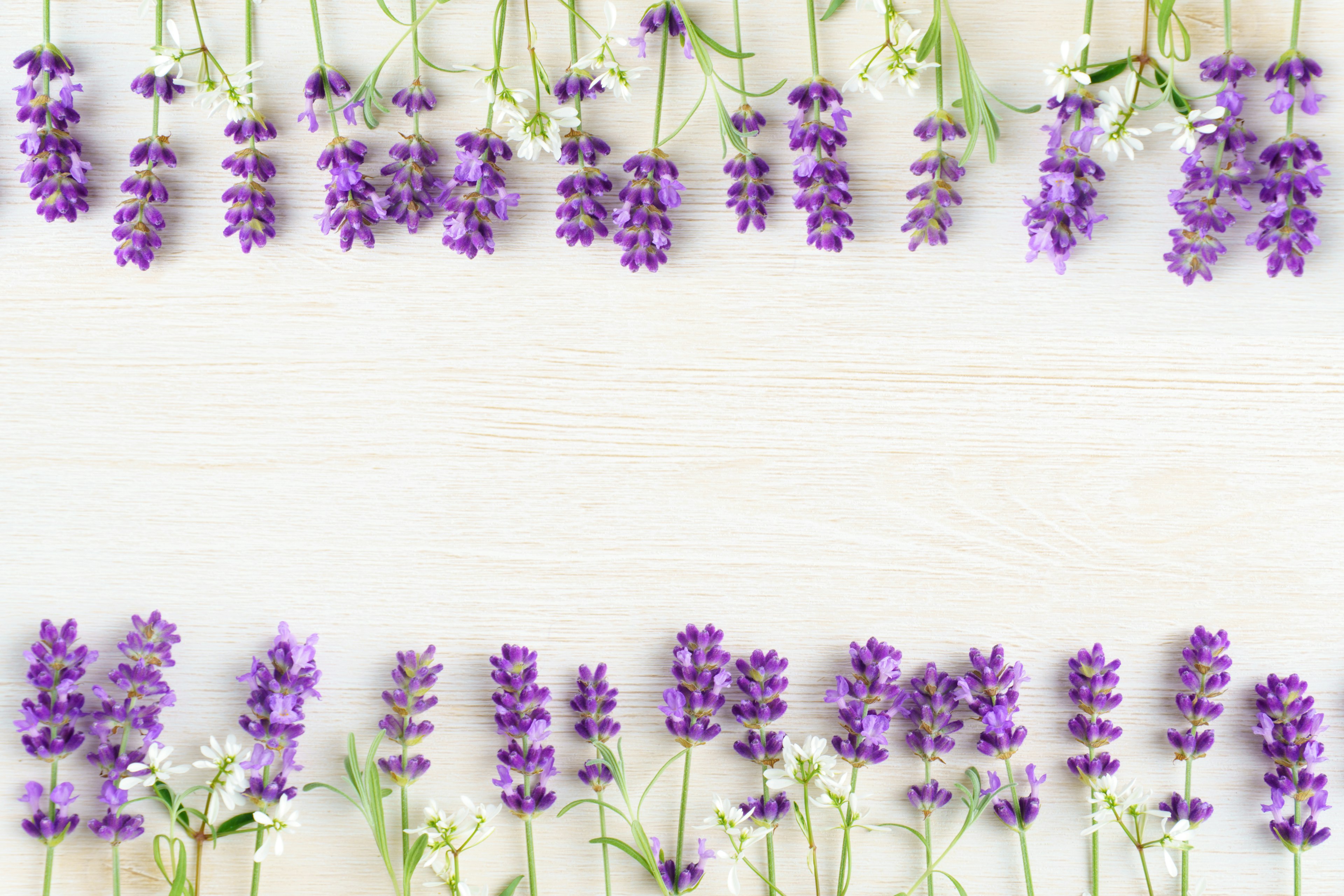 Un hermoso arreglo de flores de lavanda sobre un fondo de madera clara