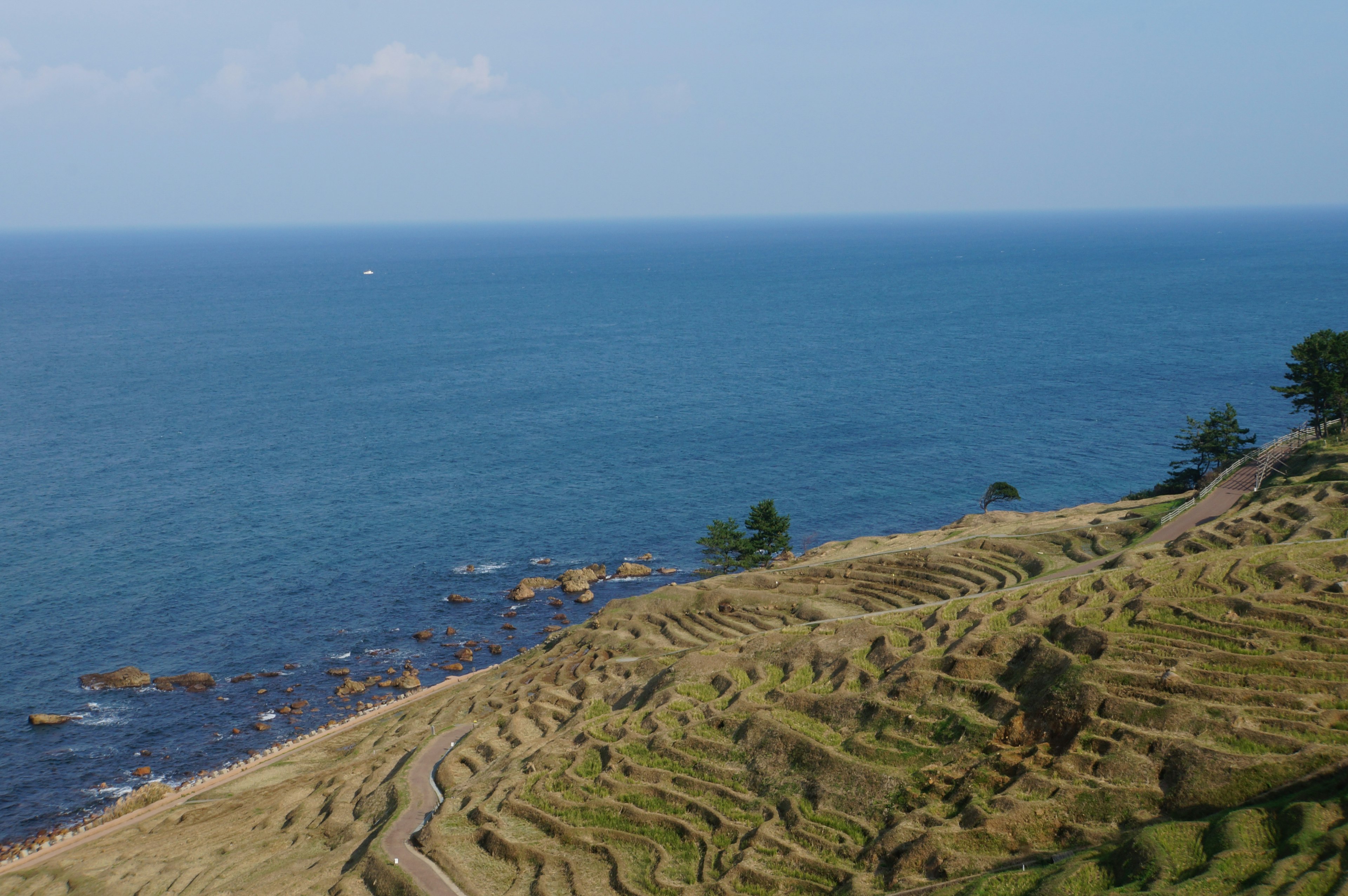 Pemandangan indah dari sawah teras di samping lautan biru