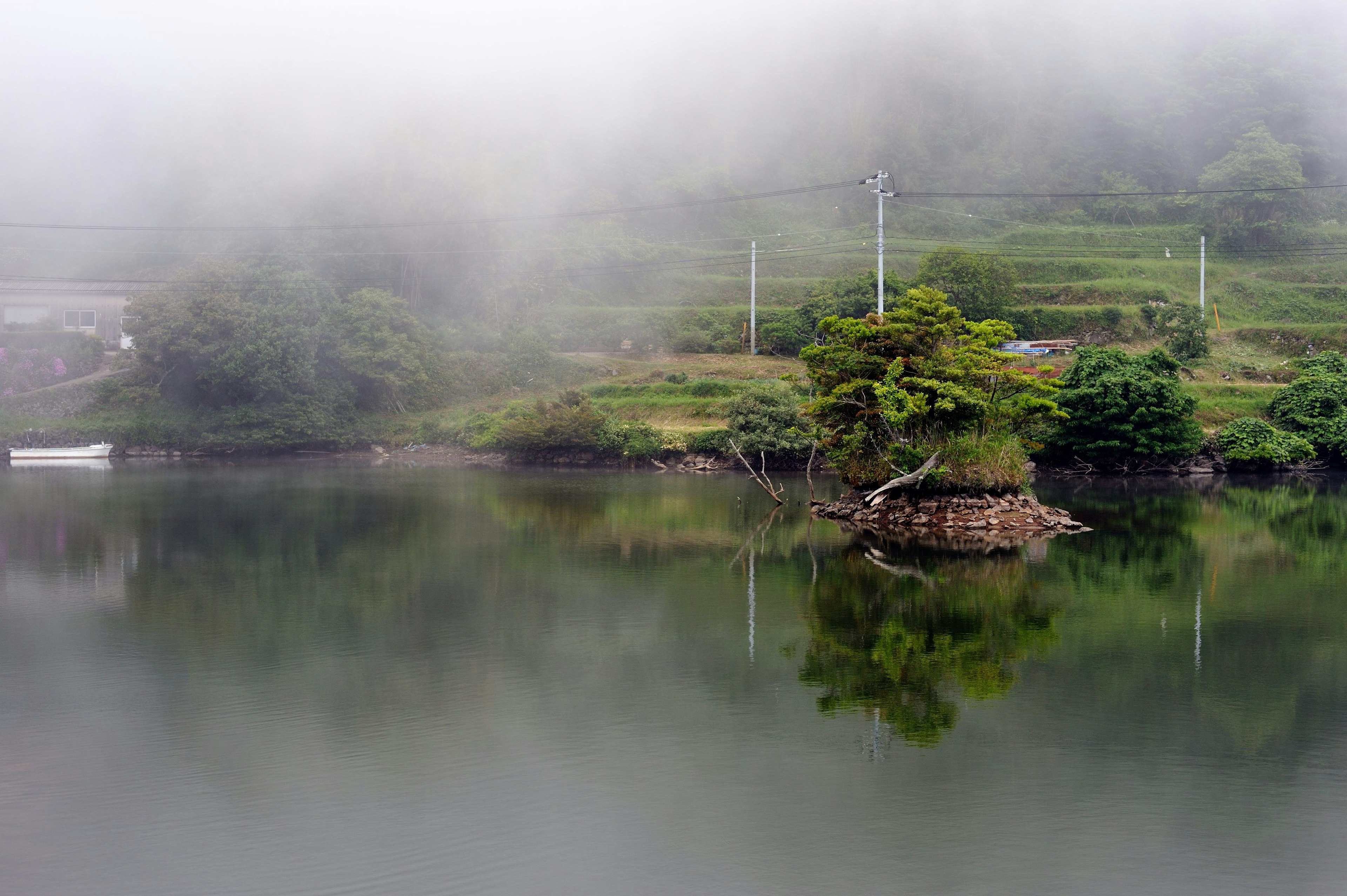 Un lago sereno avvolto nella nebbia con un'isola e alberi