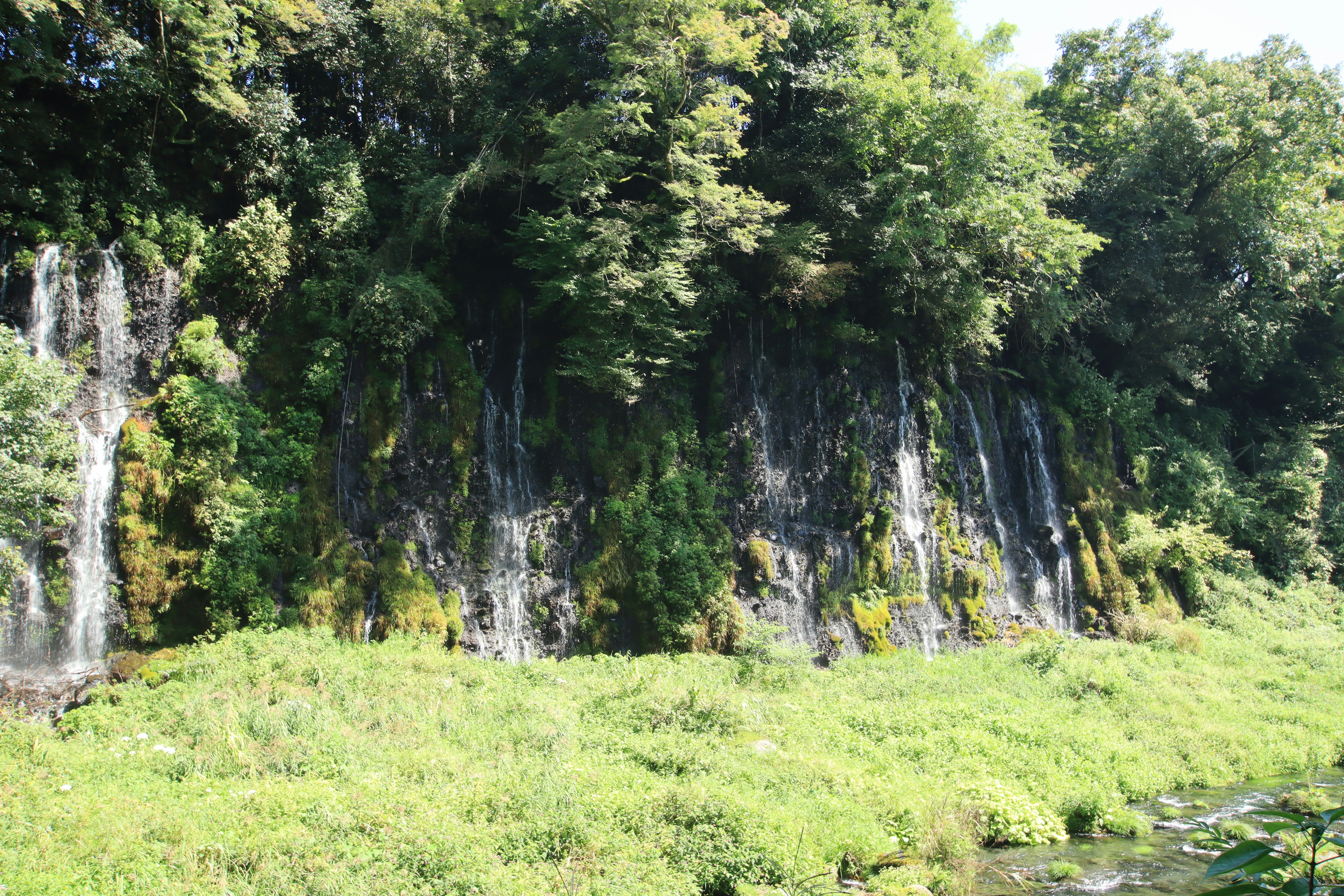 Scenic view of a lush cliff with waterfalls