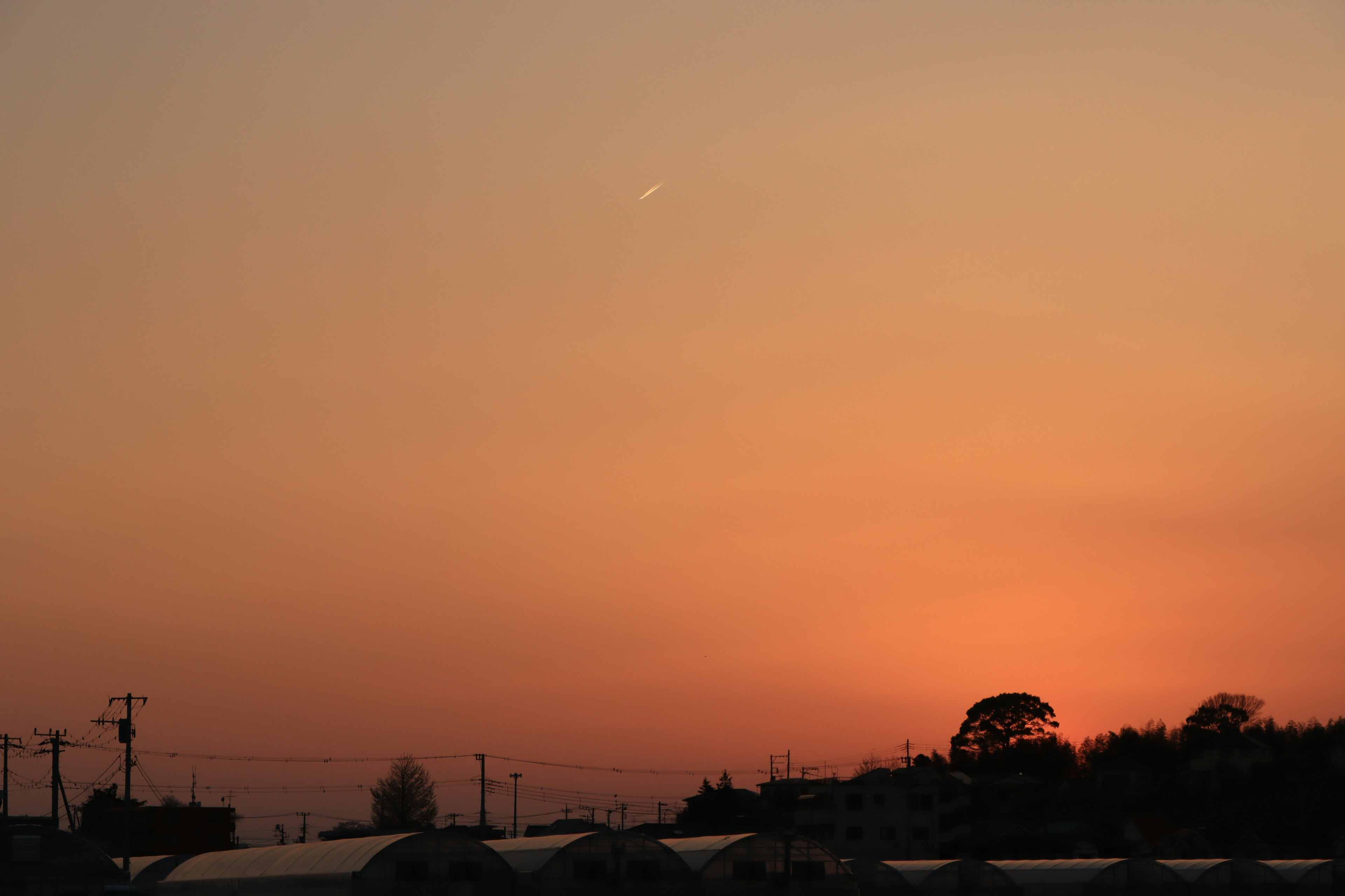 Scenic sunset with silhouettes of trees and a gradient sky