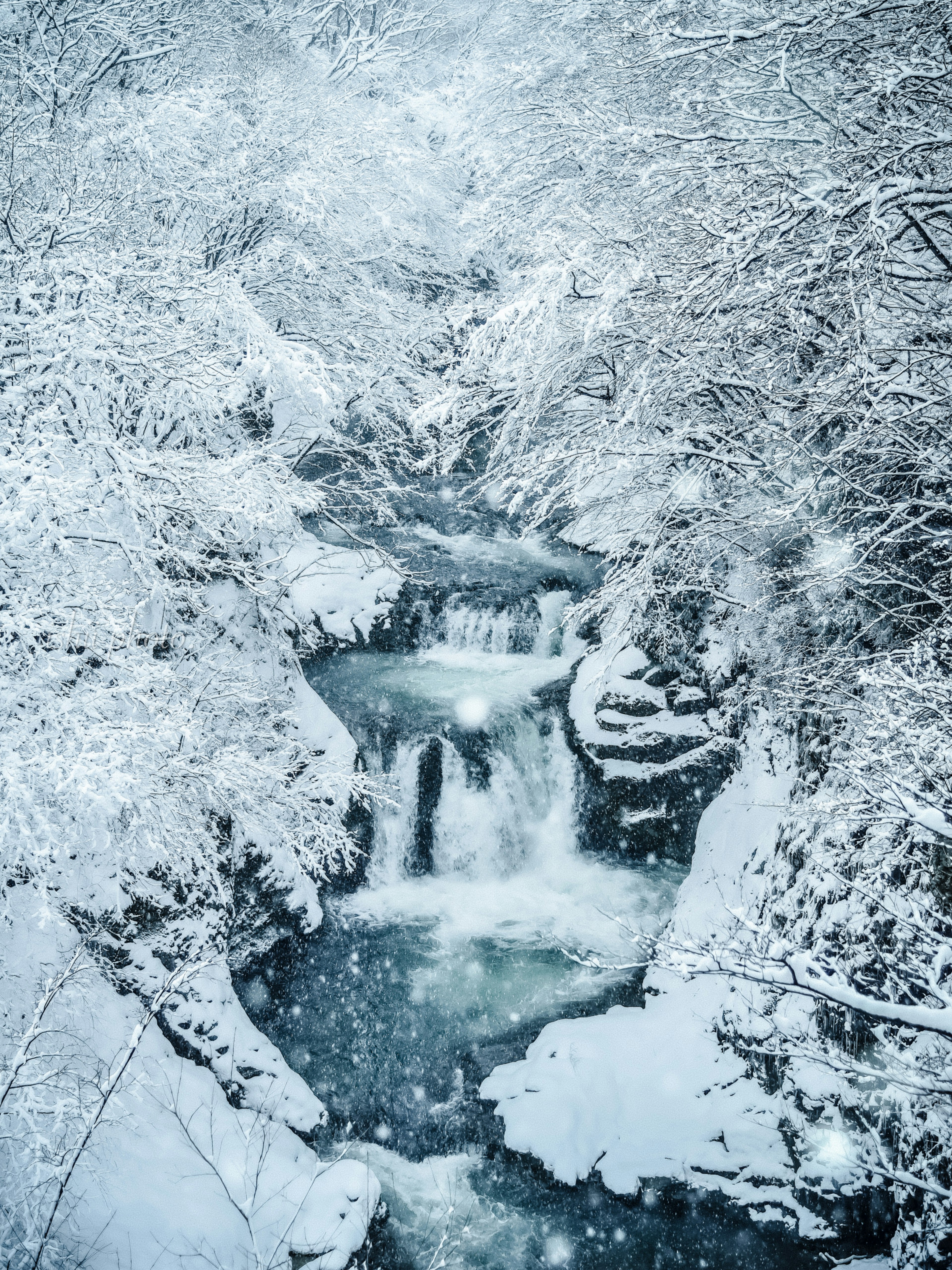 雪に覆われた渓流の風景白い雪と静かな水流