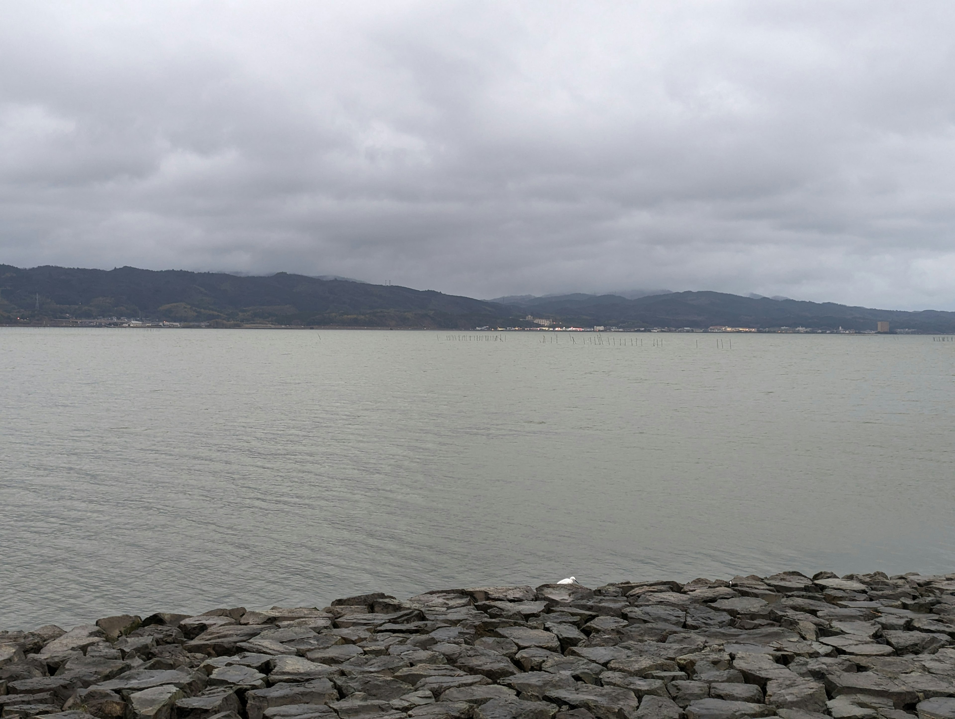 曇り空の下の静かな海の風景 石の岸辺が広がる