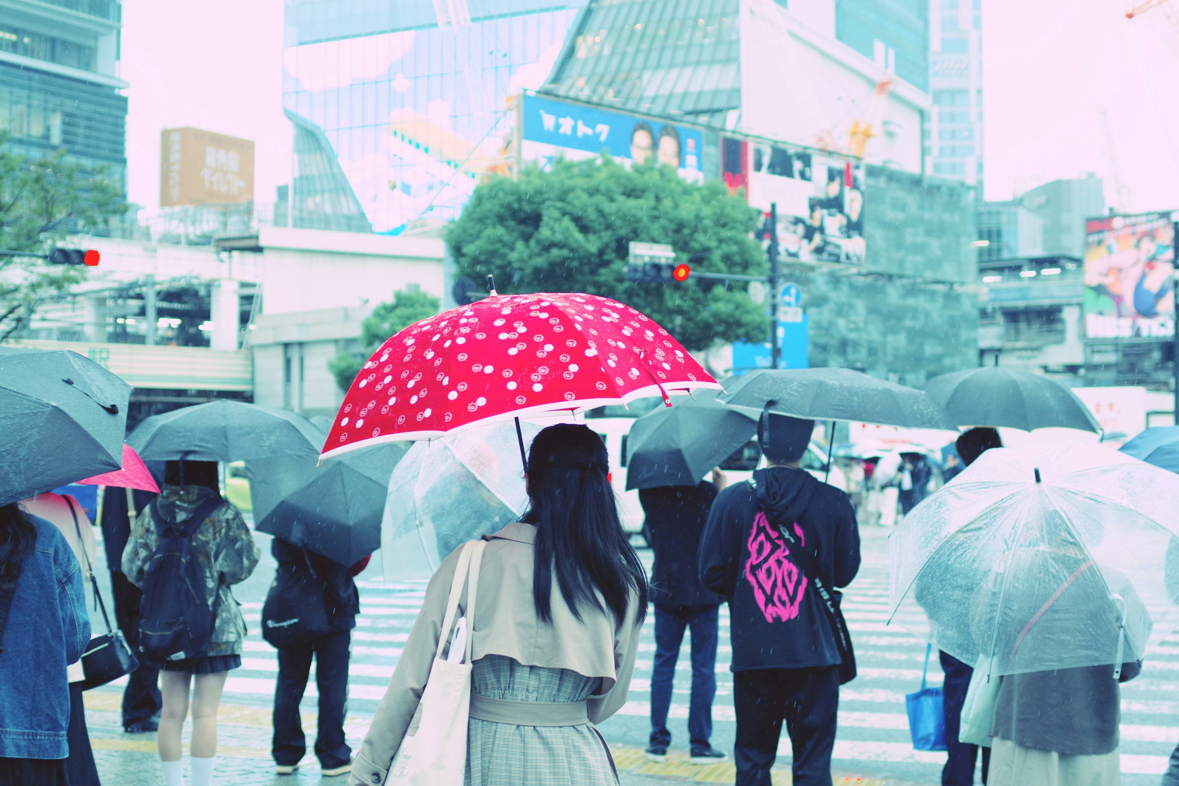 人们在雨中等候在斑马线下手持雨伞一个显眼的红伞引人注目