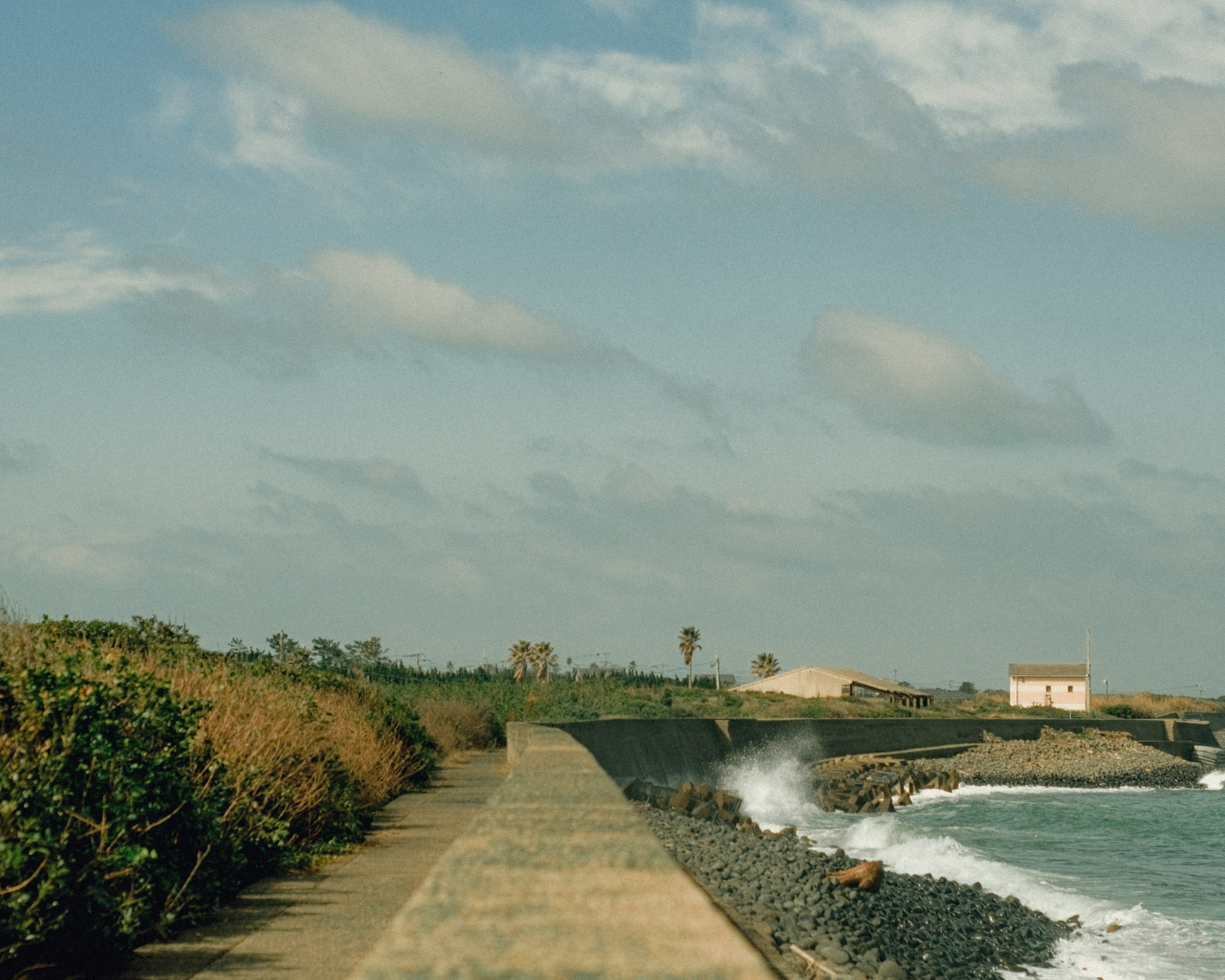 Camino costero con olas rompiendo y edificios distantes