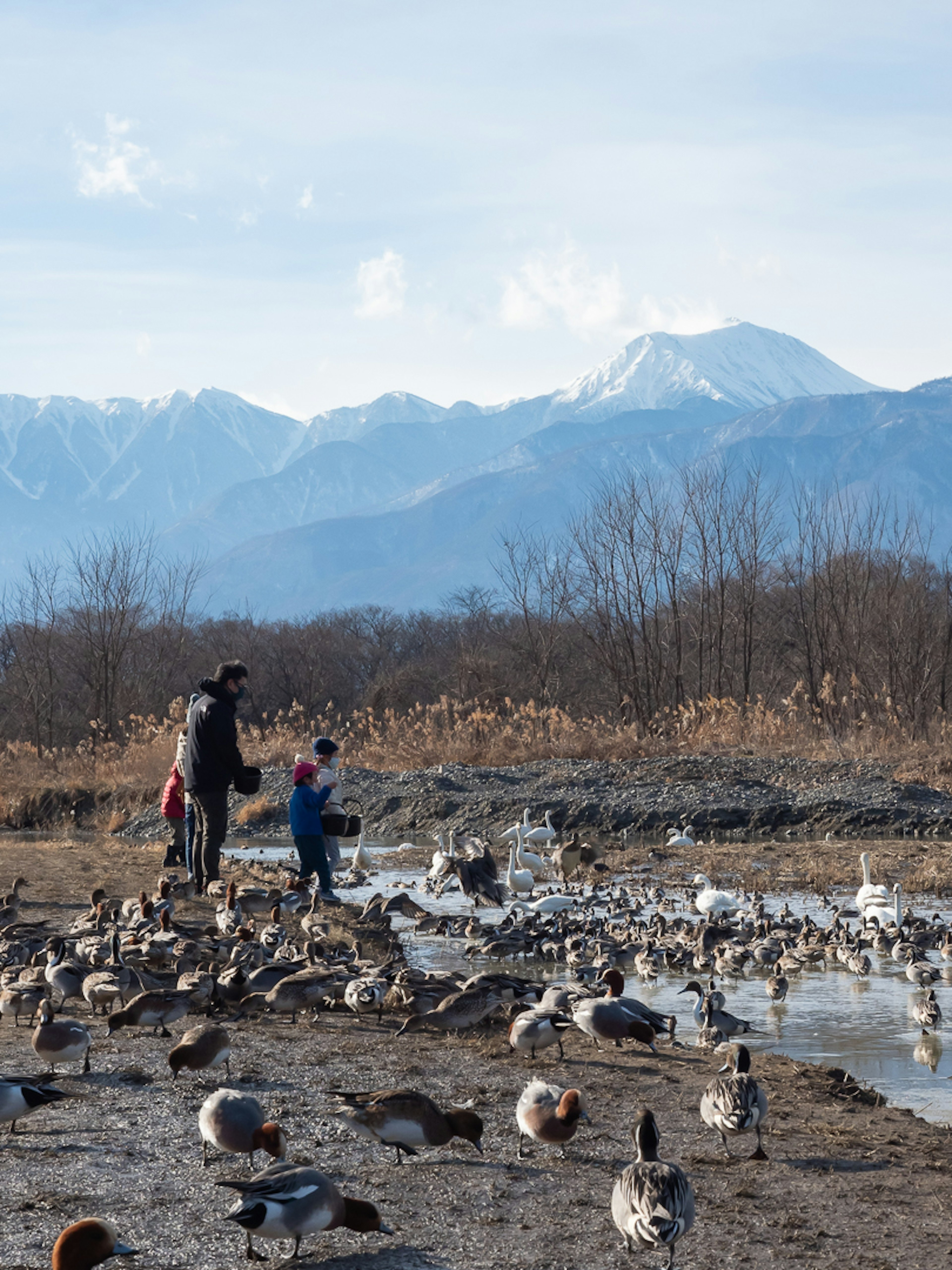 Anak dan dewasa berinteraksi dengan burung air di tepi danau dengan pegunungan di latar belakang