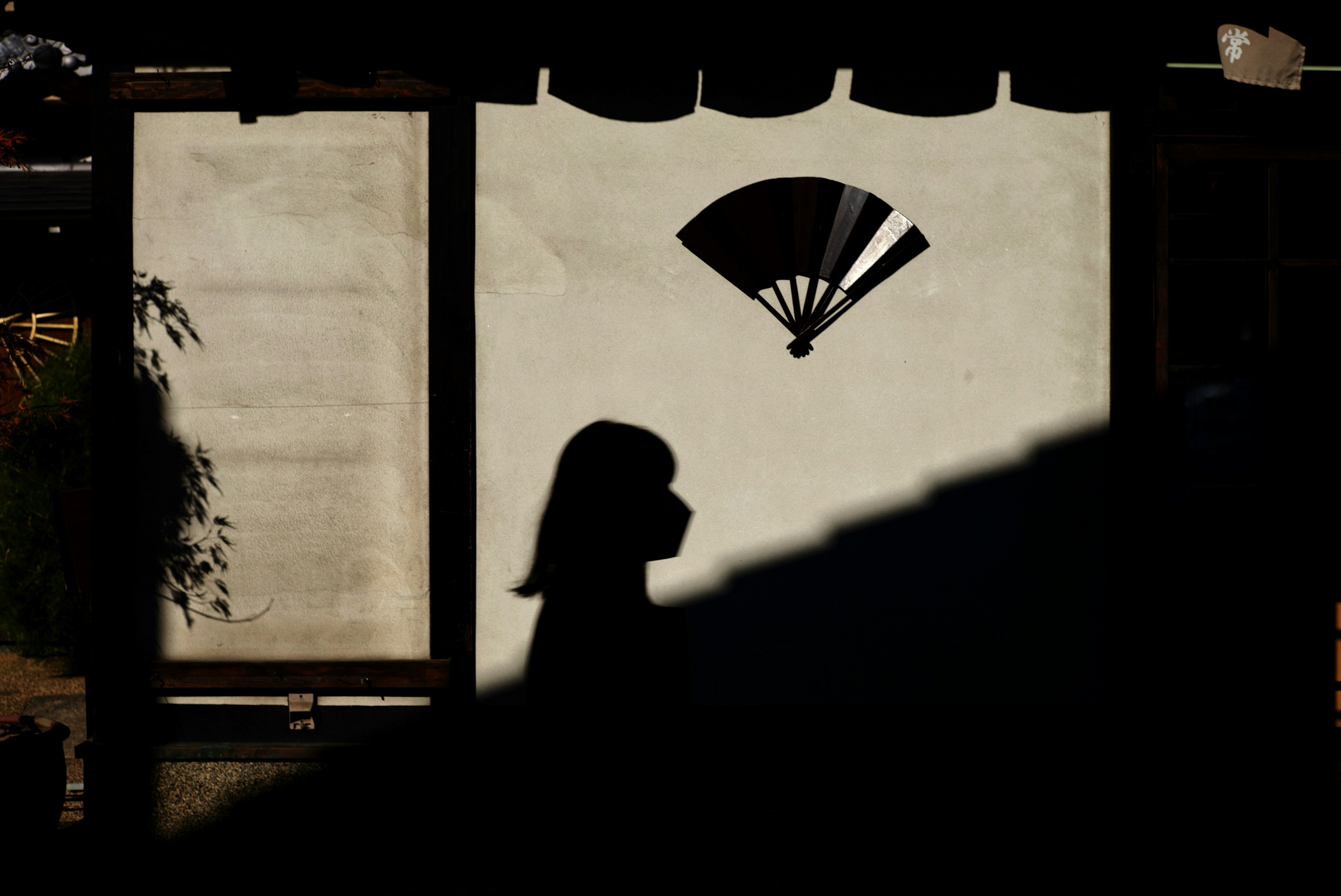 Silhouette d'une femme devant un mur avec un motif d'éventail