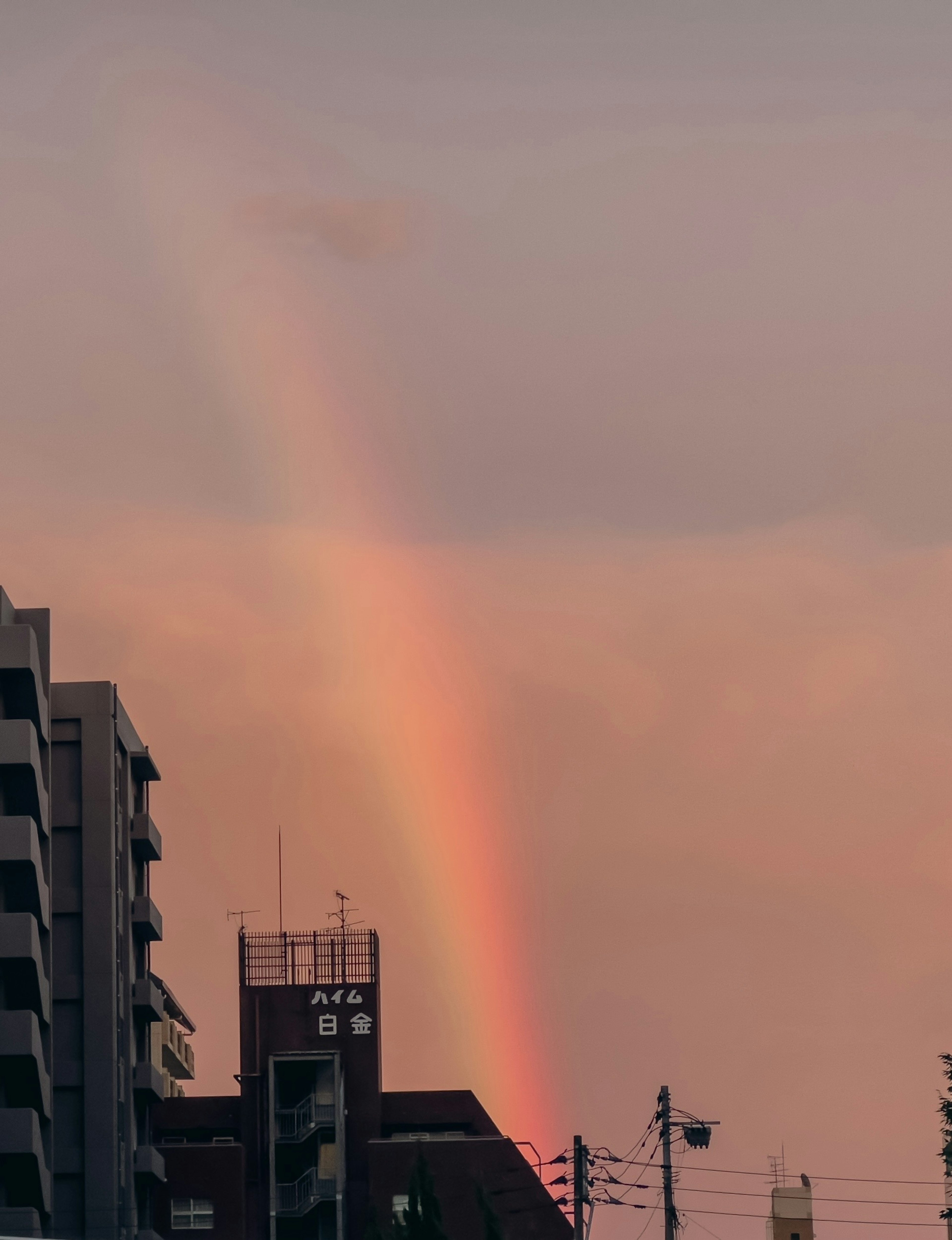 Regenbogen über städtischen Gebäuden bei Sonnenuntergang