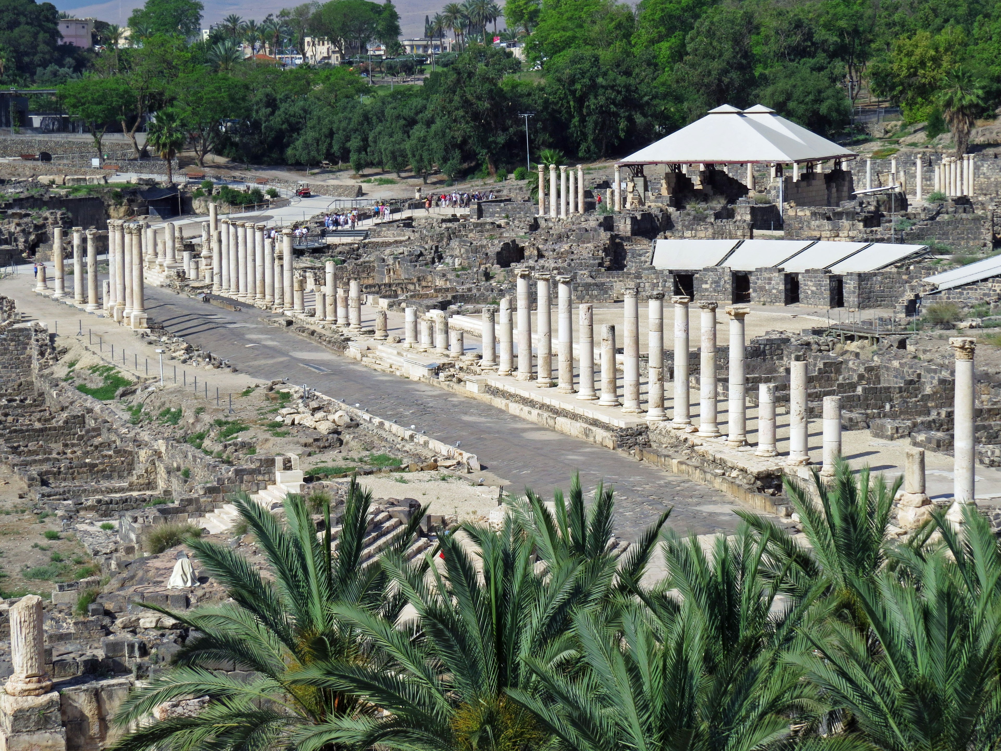 古代遺址與柱子和郁郁蔥蔥的綠地