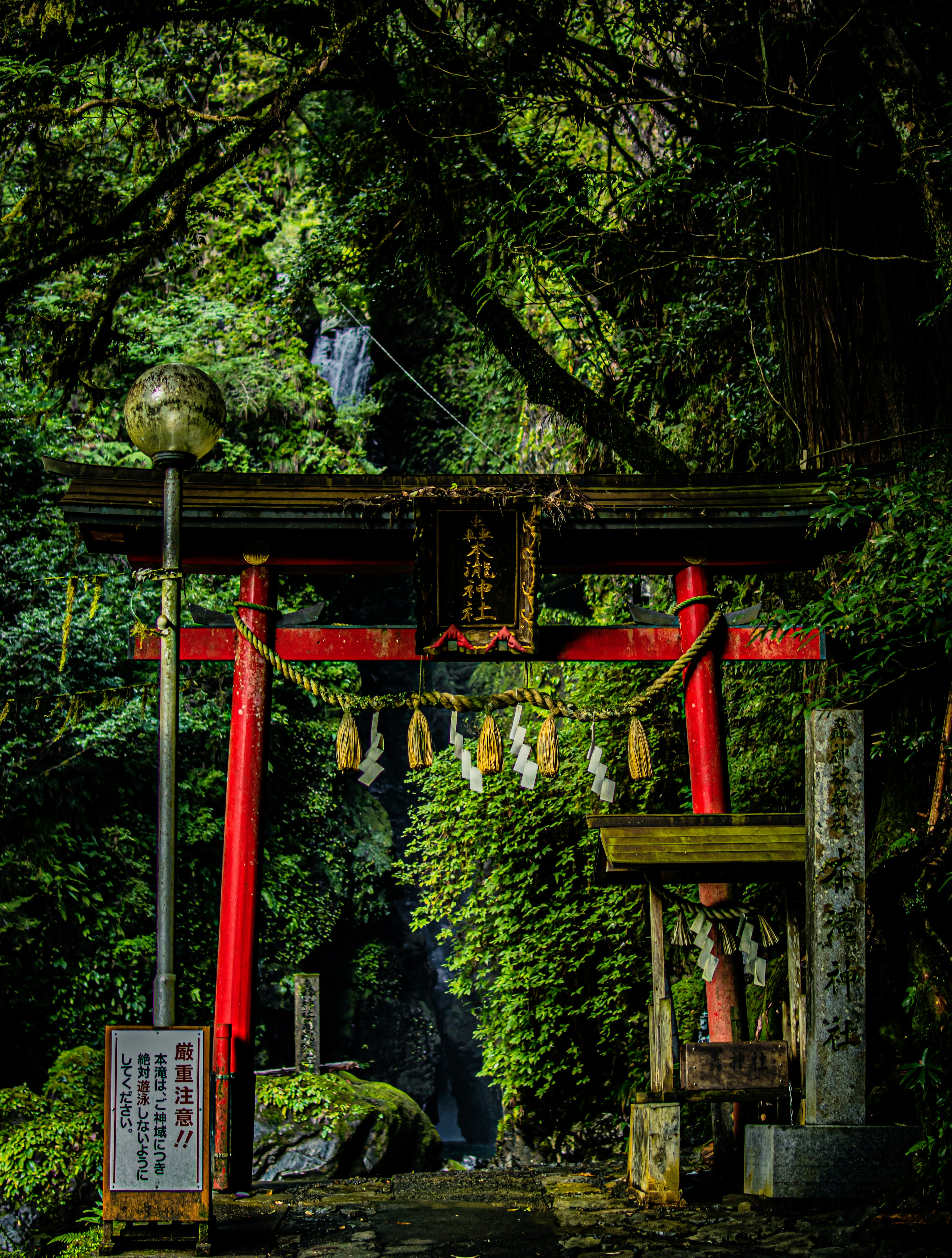 Cổng torii đỏ được trang trí bằng chuông, bao quanh bởi cây cối tươi tốt