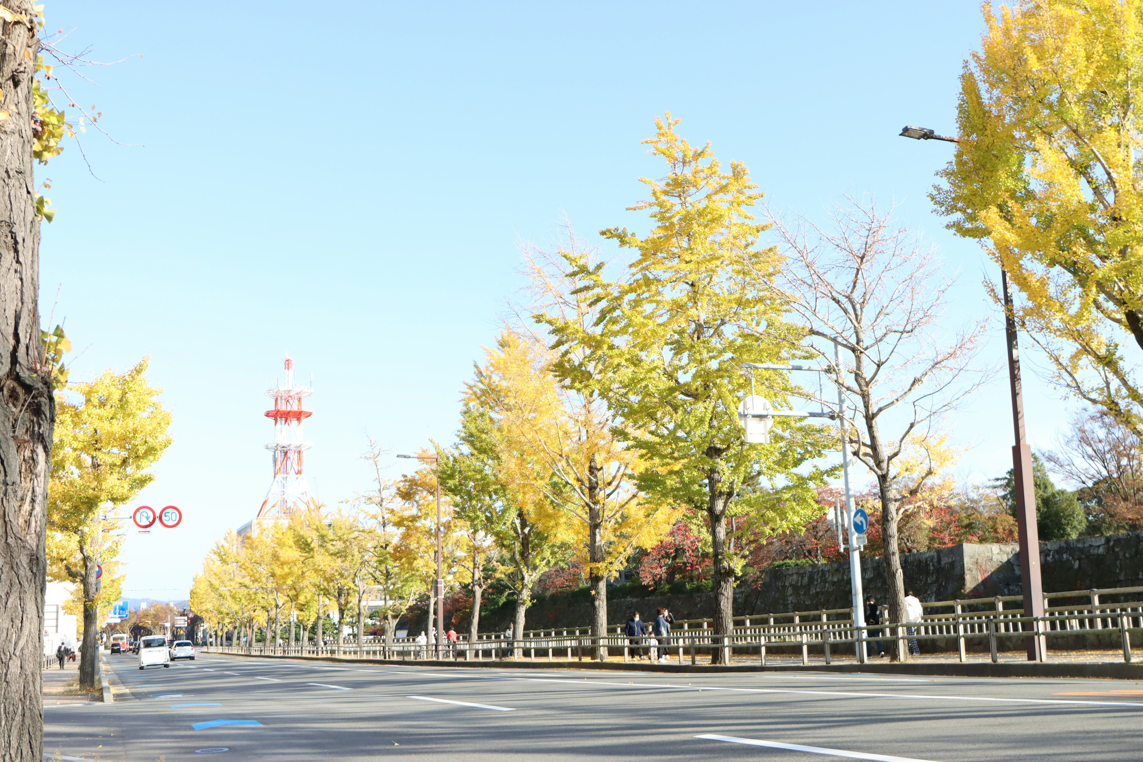 Viale alberato in autunno con cielo blu chiaro e torre rossa visibile