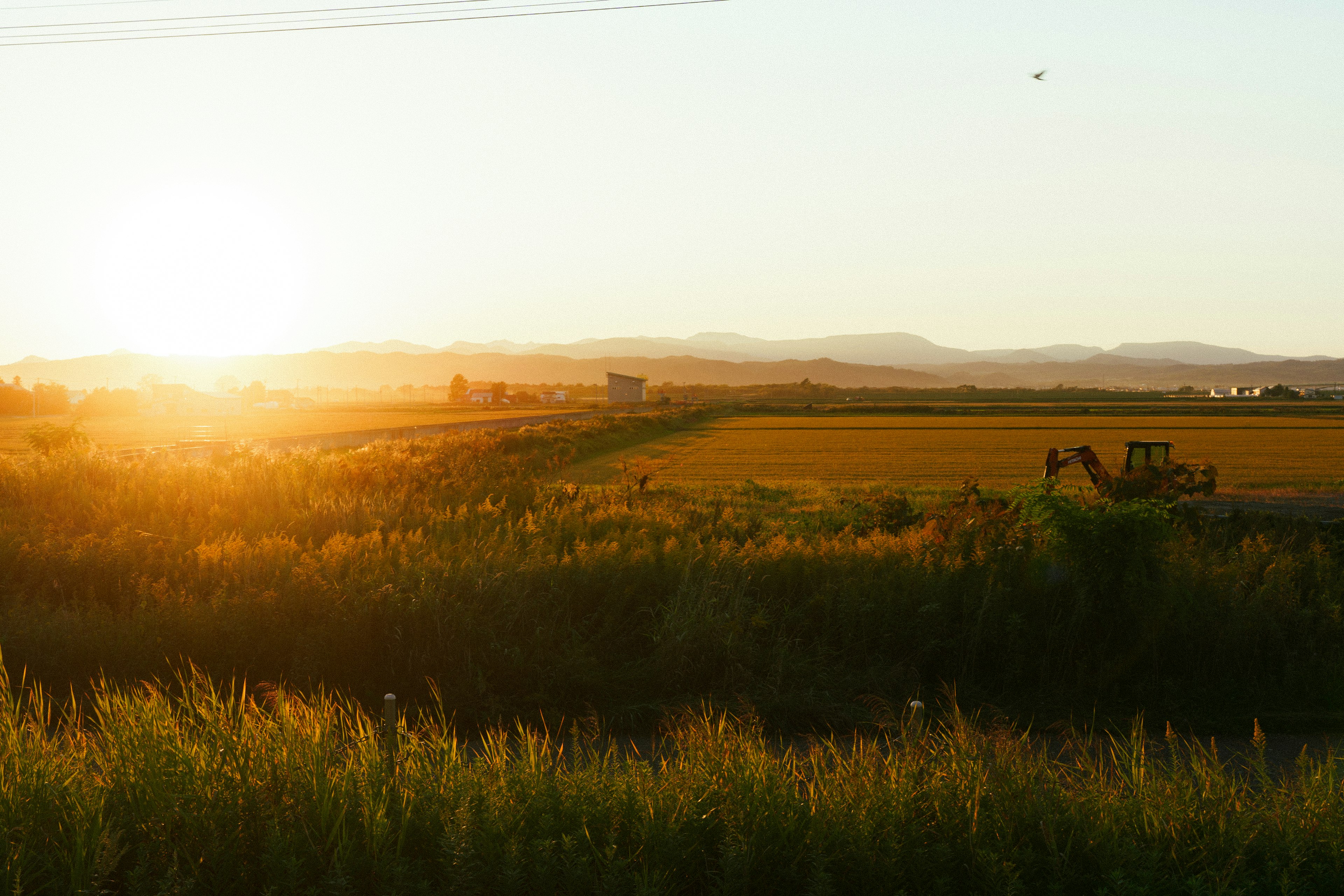 Coucher de soleil doré sur un paysage rural paisible avec des montagnes lointaines