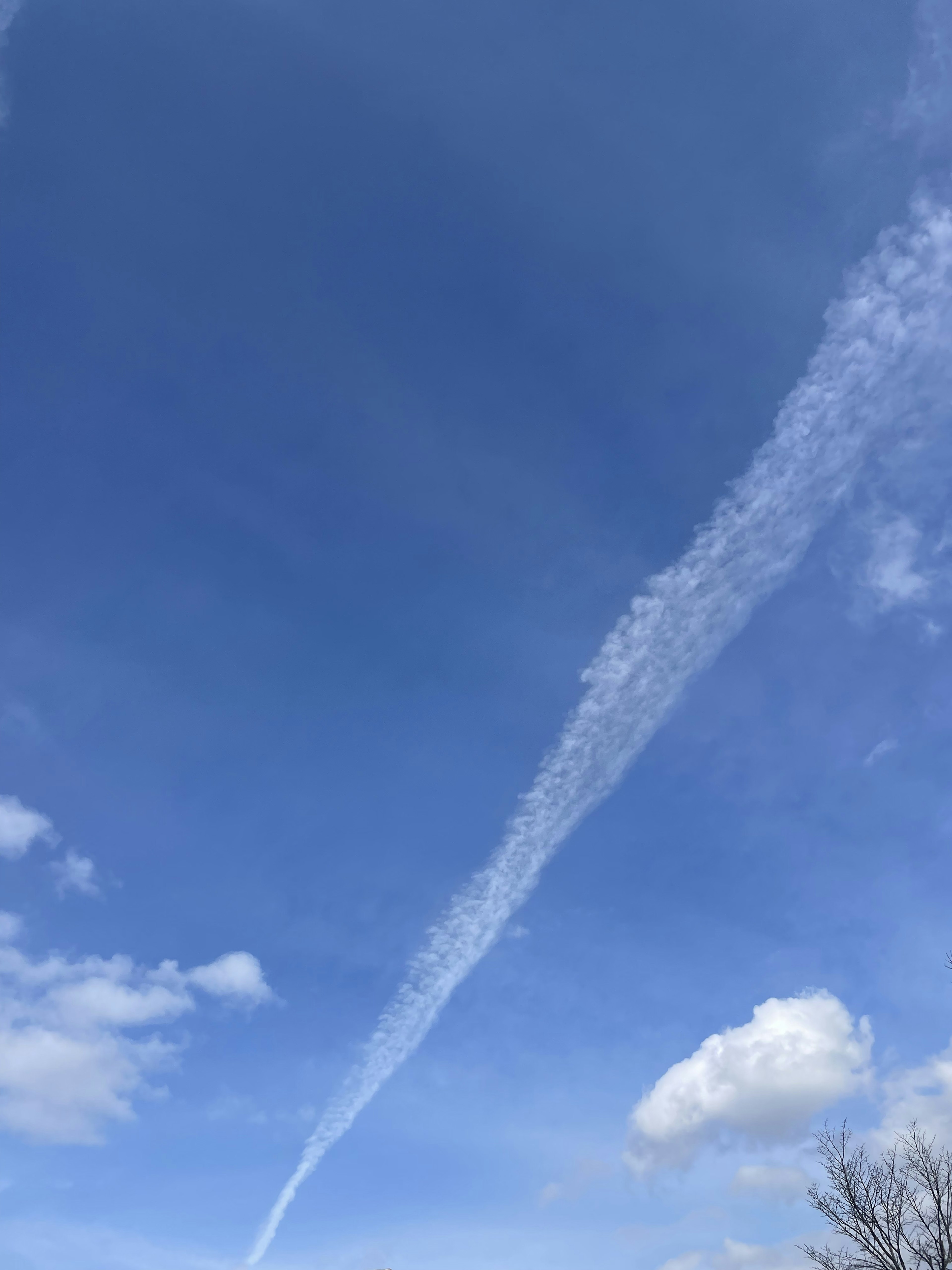 青空に白い飛行機雲が長く伸びている