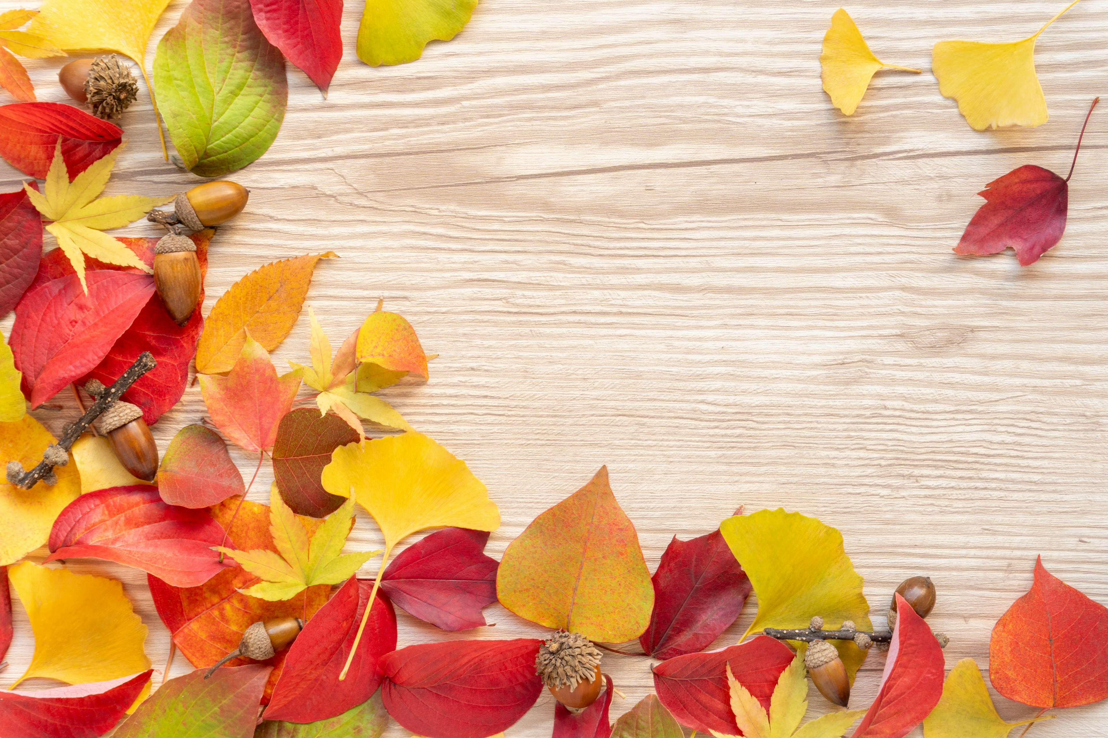 Colorful autumn leaves and acorns scattered on a wooden table