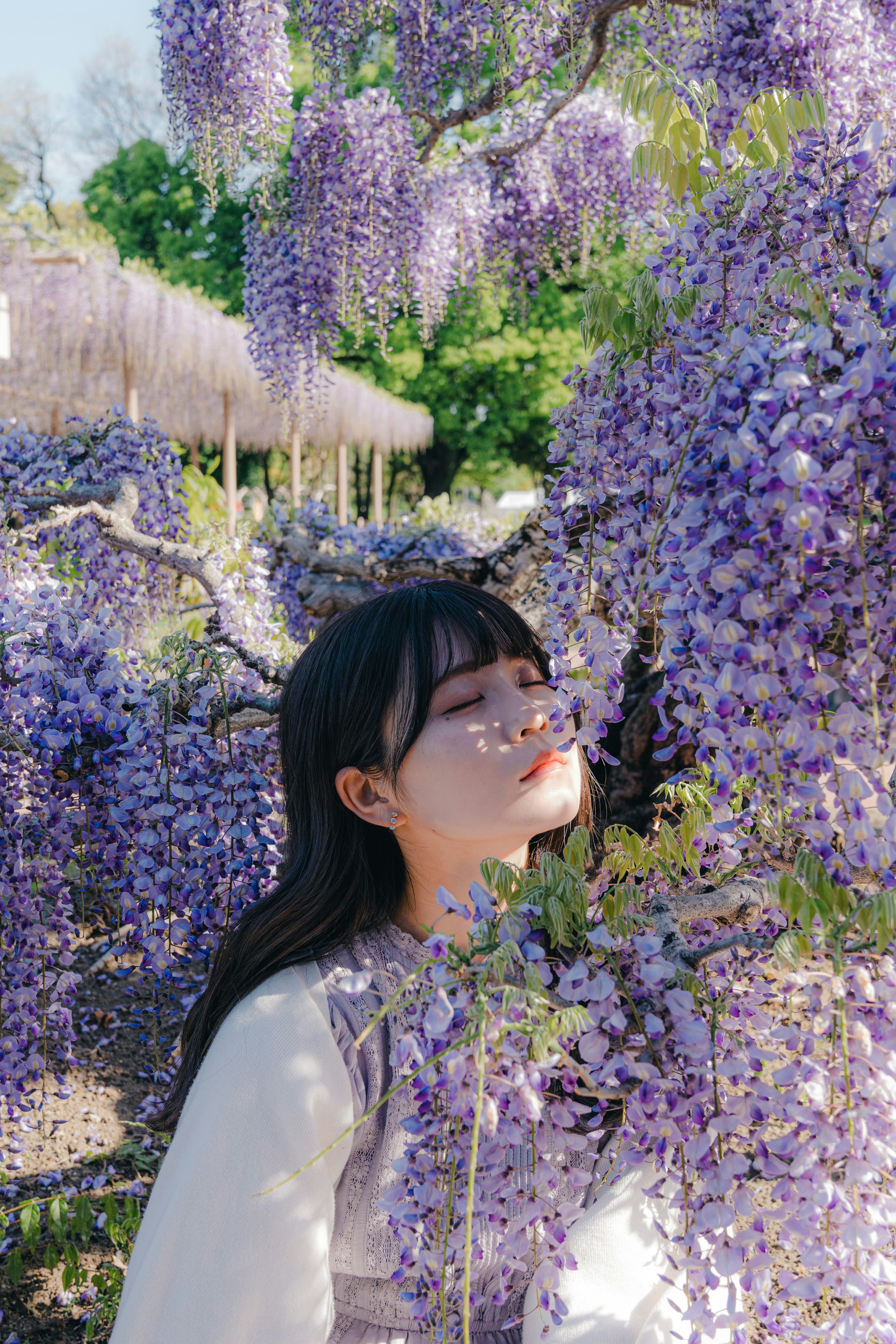 Profil d'une femme souriante parmi des fleurs de glycine violettes