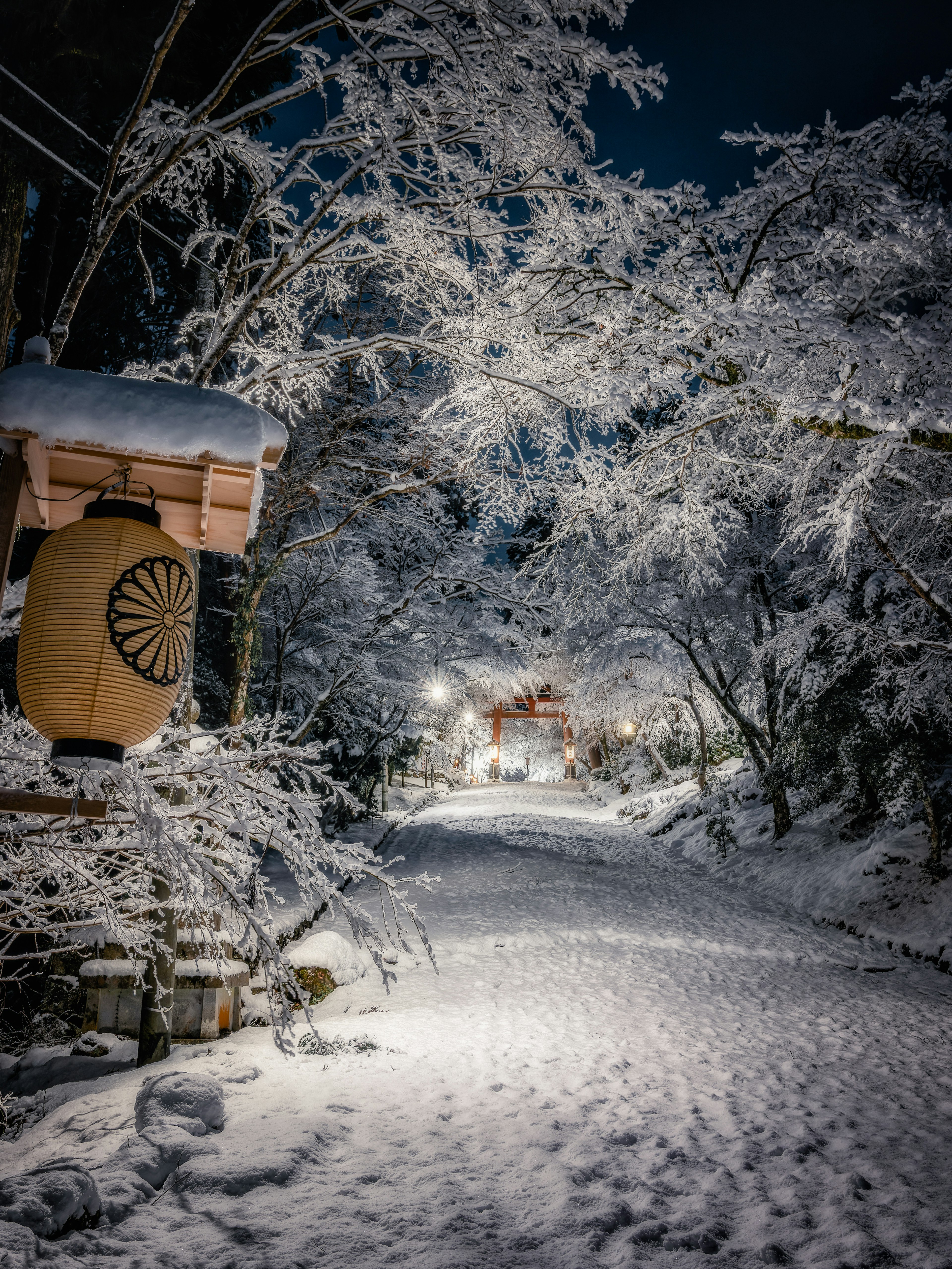 Camino cubierto de nieve con linterna y árboles