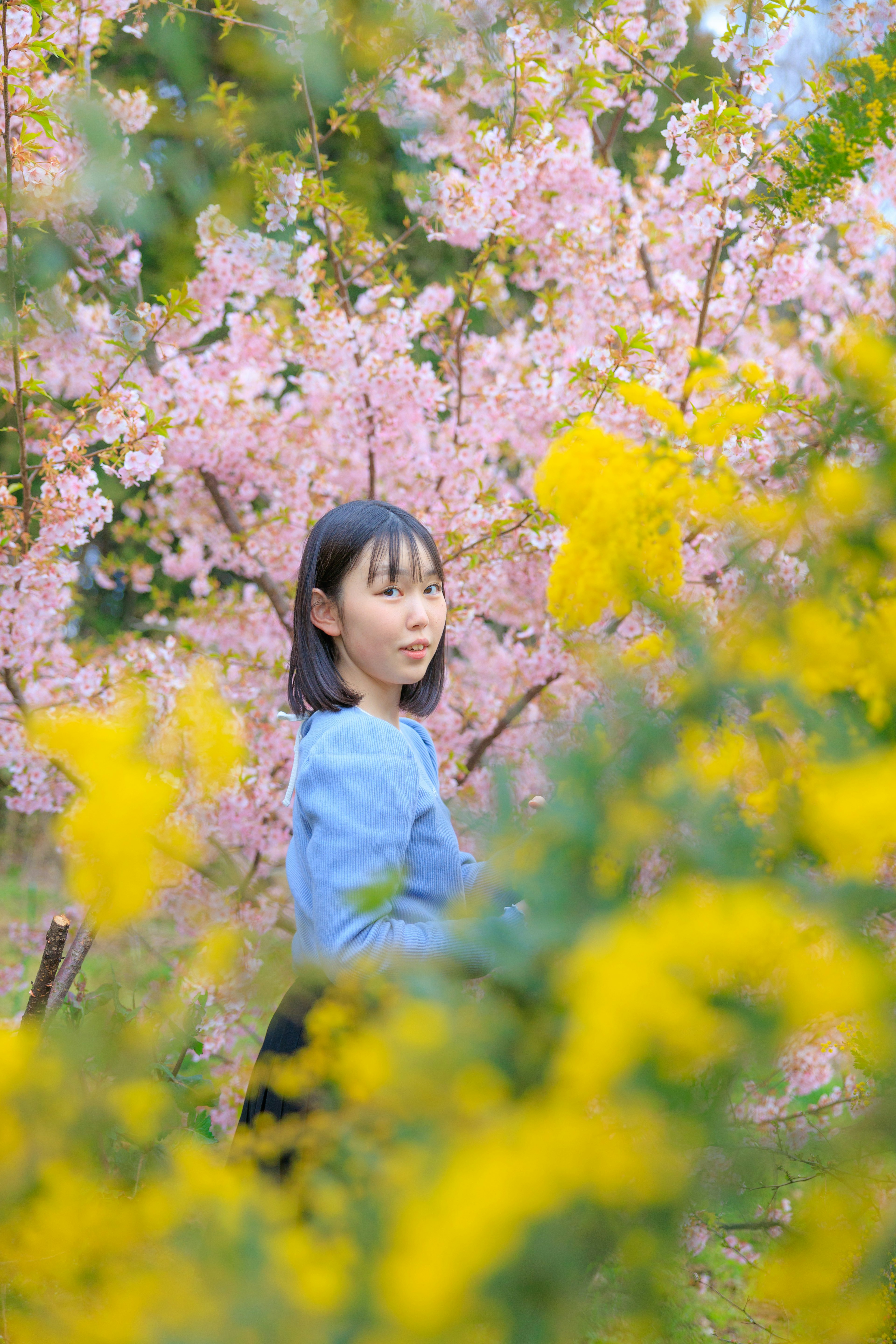 桜の花と黄色い花に囲まれた女性