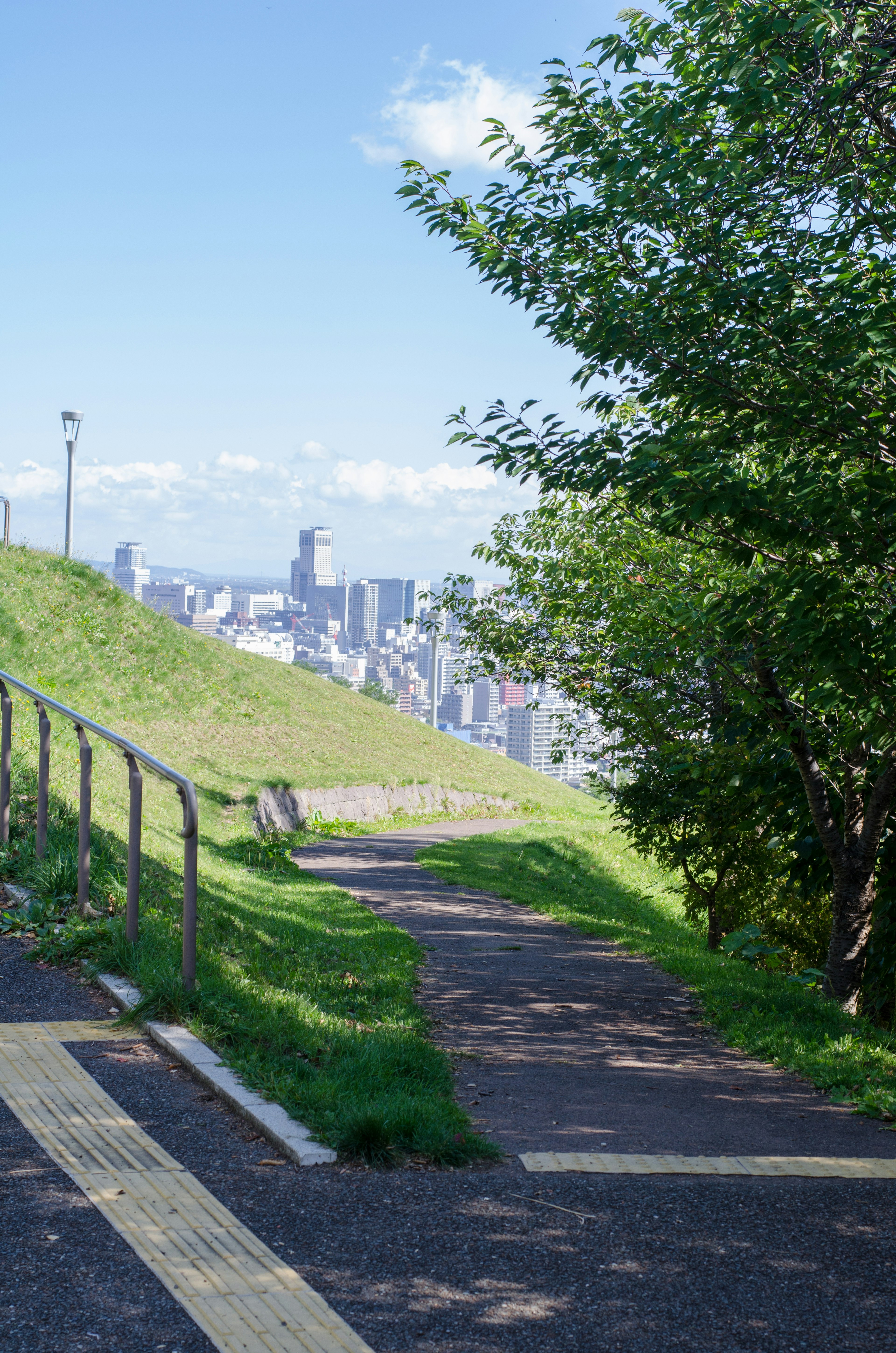 緑豊かな道と都会の景色が見える風景