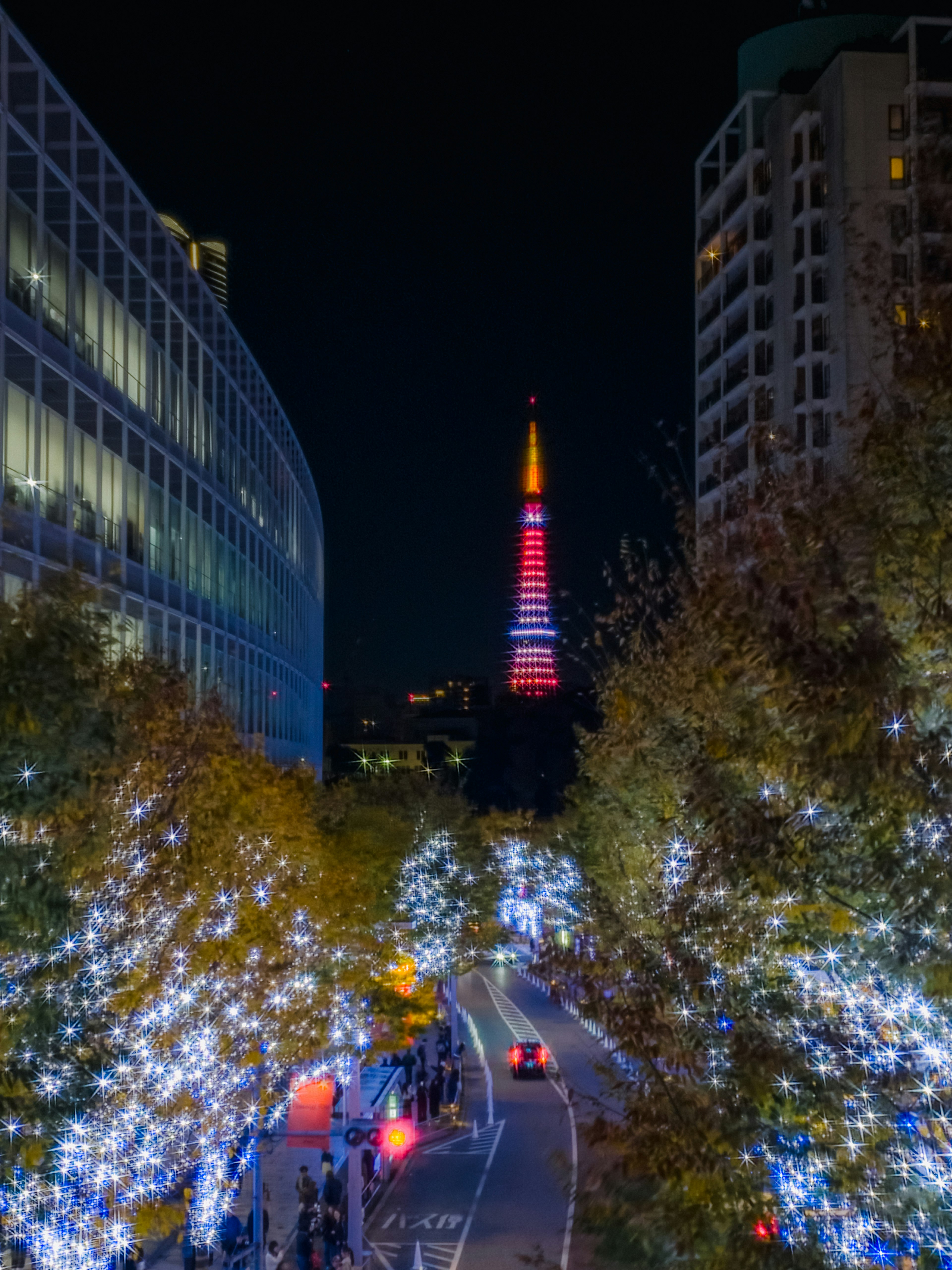 東京タワーが夜に輝く美しい風景周辺にイルミネーションが施された木々