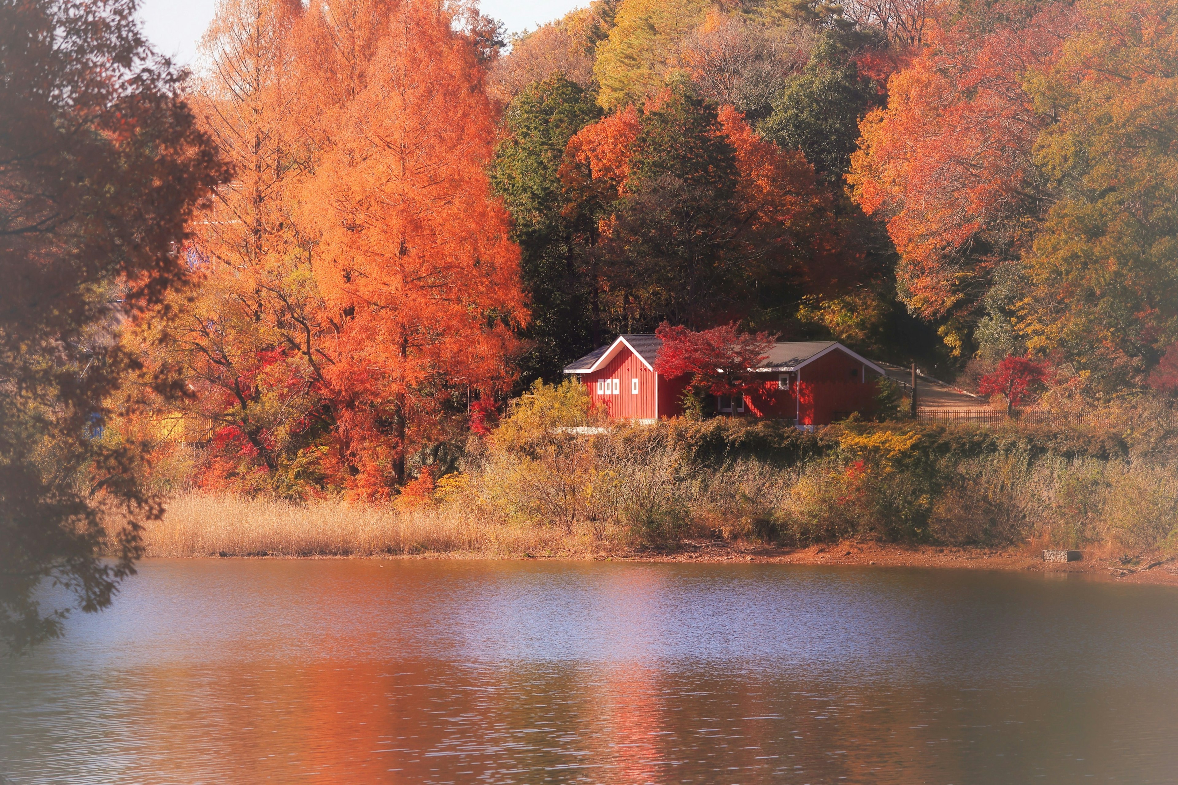 Scenic view of a red house surrounded by autumn foliage near a lake