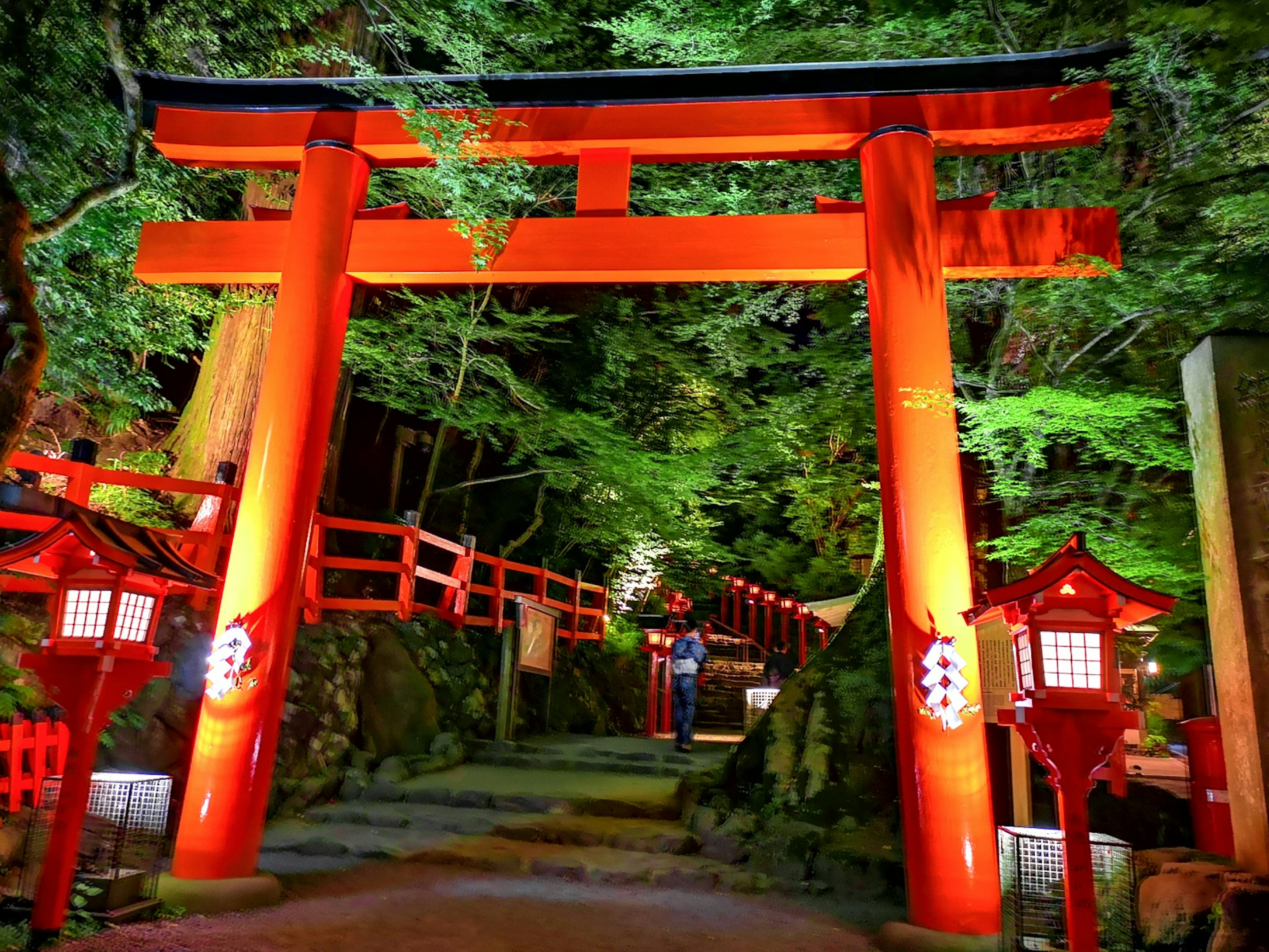 赤い鳥居と灯篭が照らされた森の小道