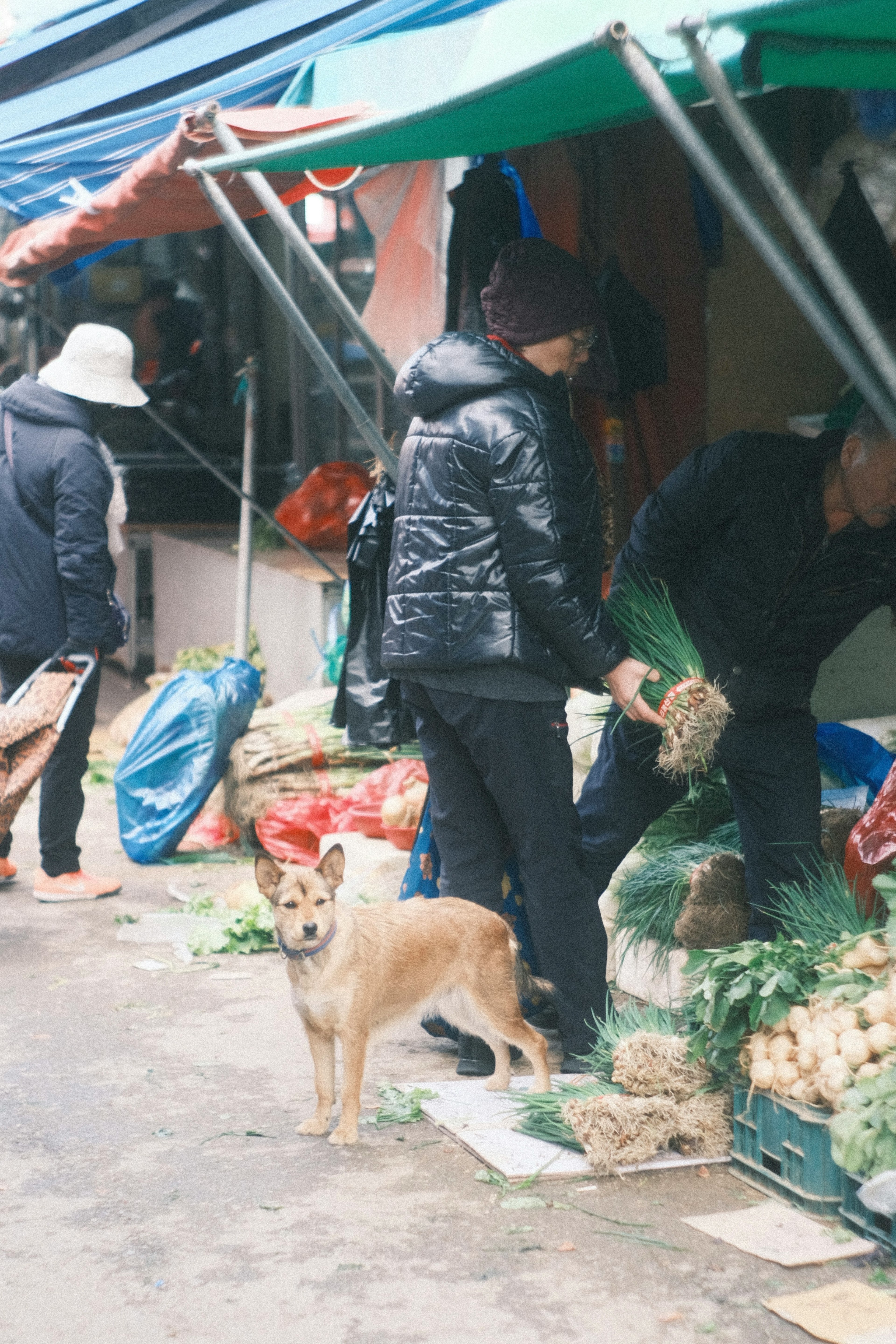 Scène de personnes manipulant des légumes au marché avec un chien