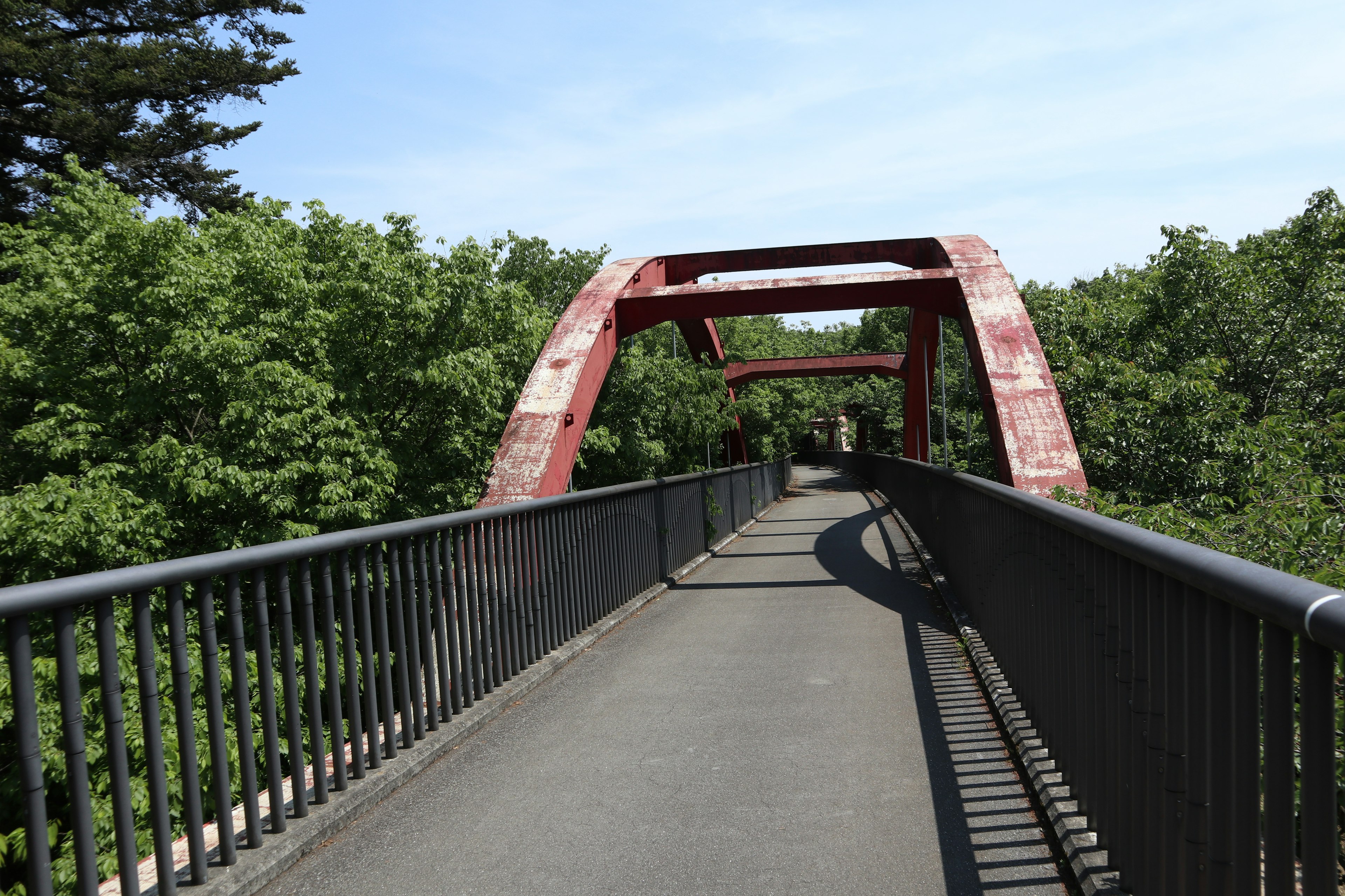 Puente arqueado rojo rodeado de árboles verdes con un sendero