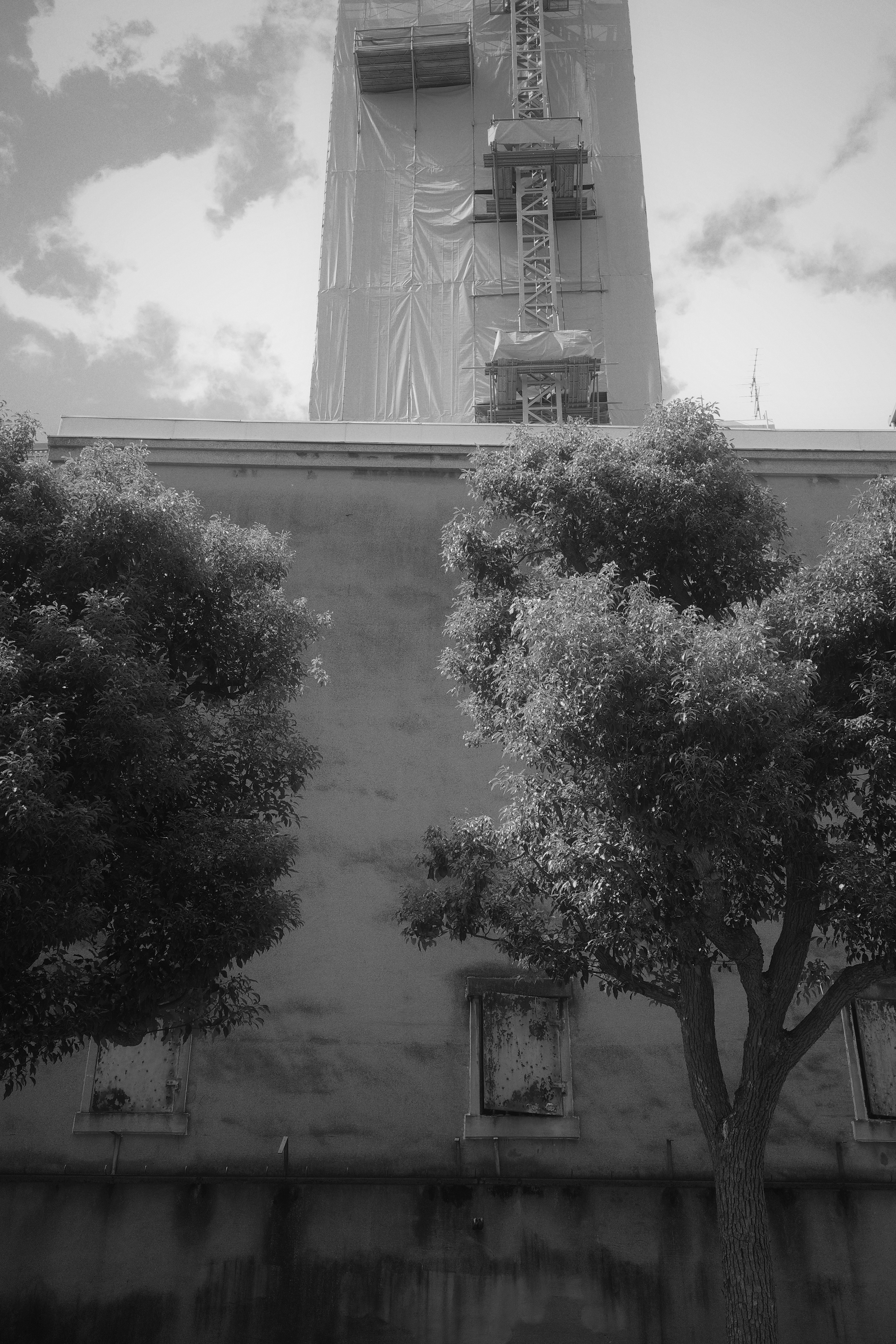 Monochrome image showcasing a tall building and contrasting trees