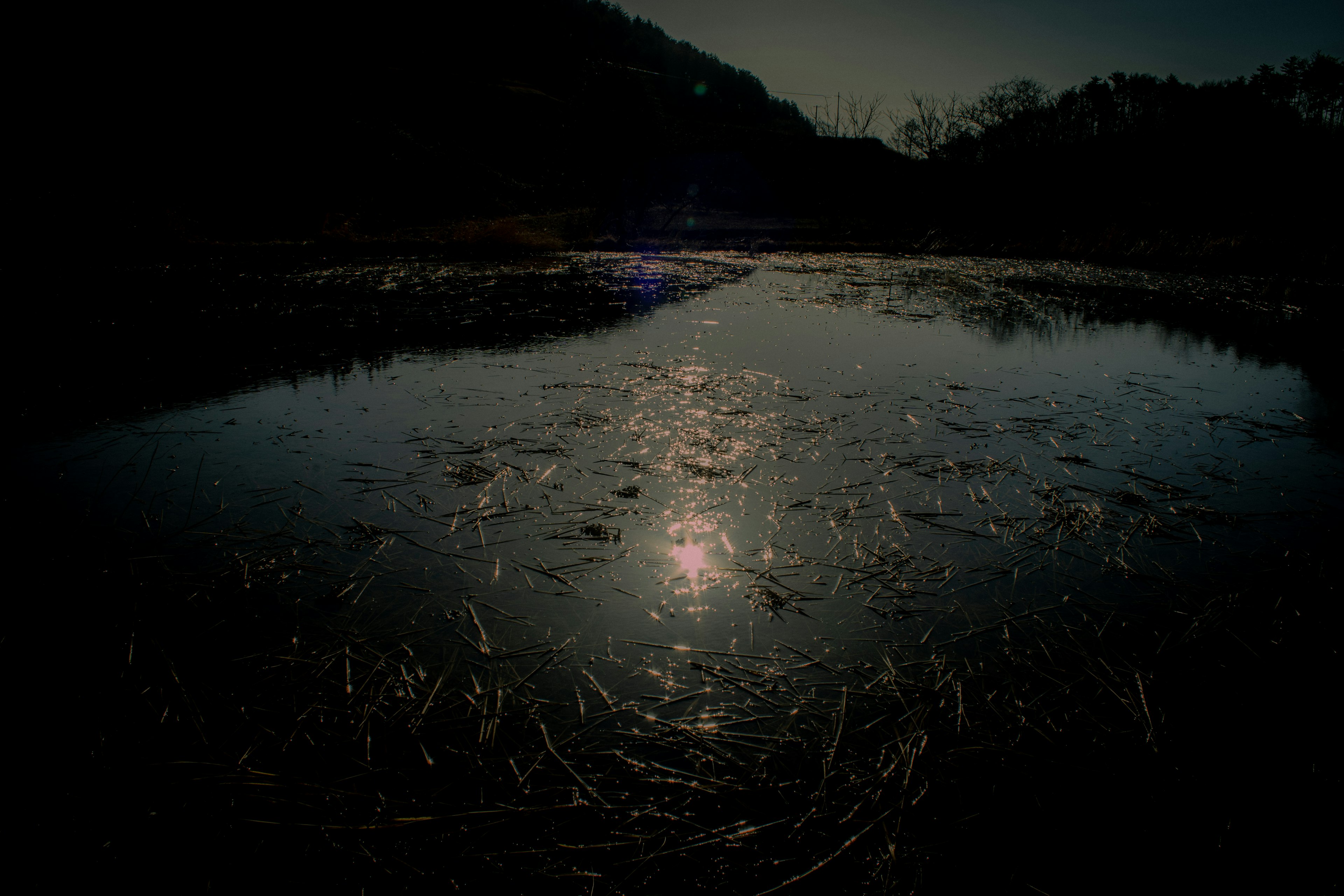 Dark water surface reflecting moonlight and surrounding trees