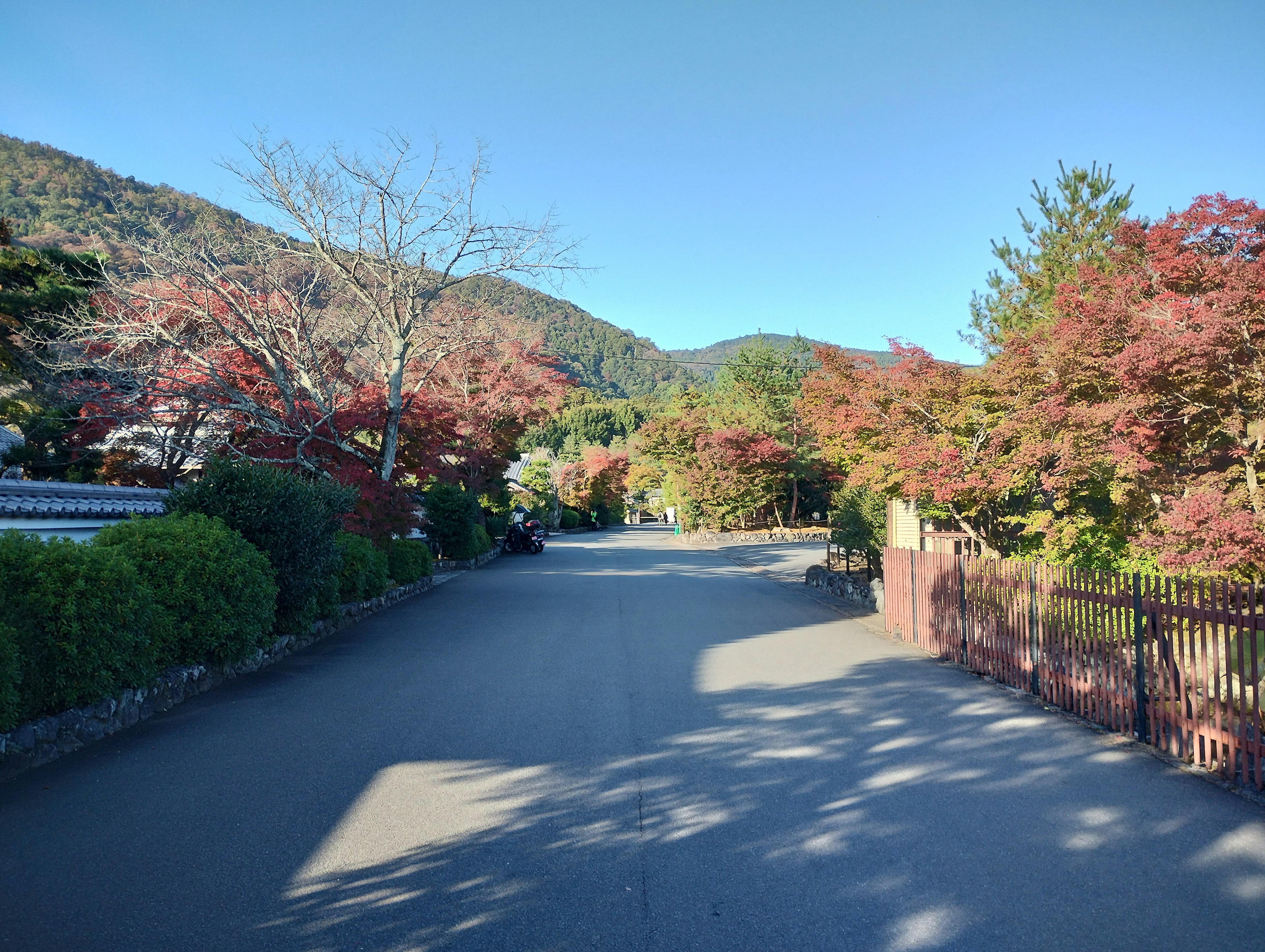 公園中的風景小路，色彩斑斕的秋葉和山脈