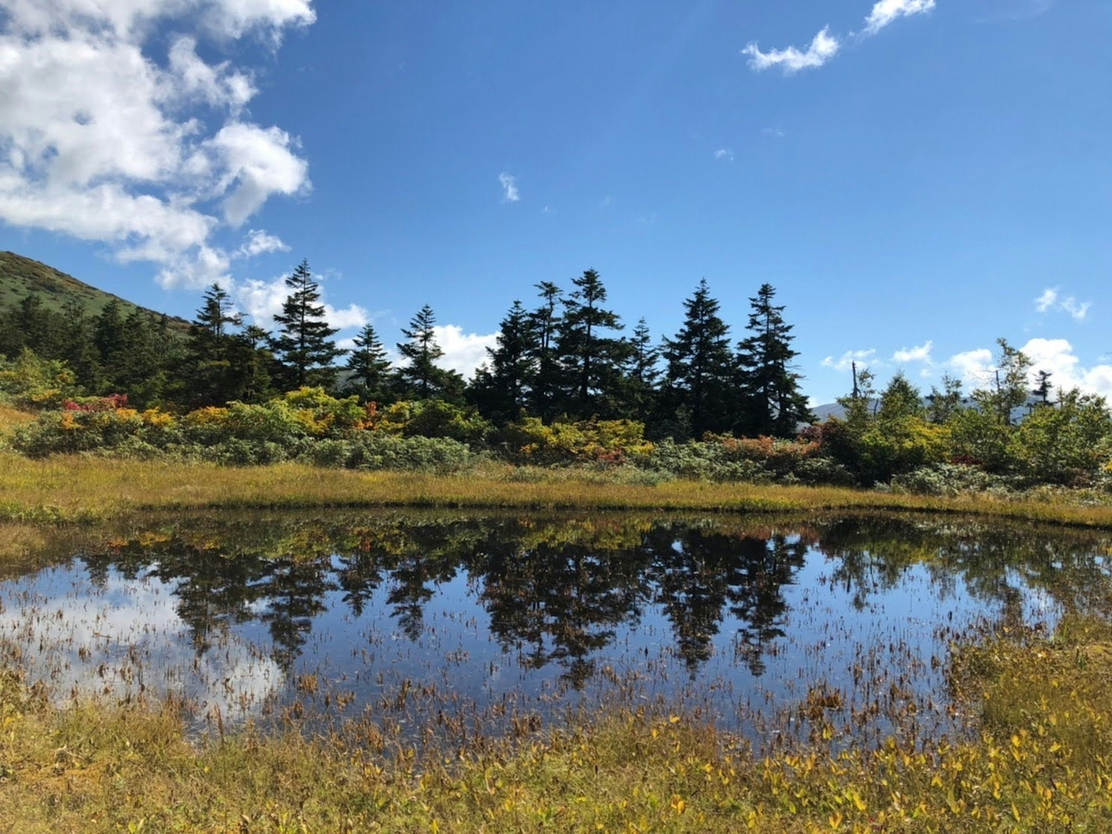 Paysage avec un étang reflétant le ciel bleu et les nuages entouré d'arbres verts et d'herbe jaune