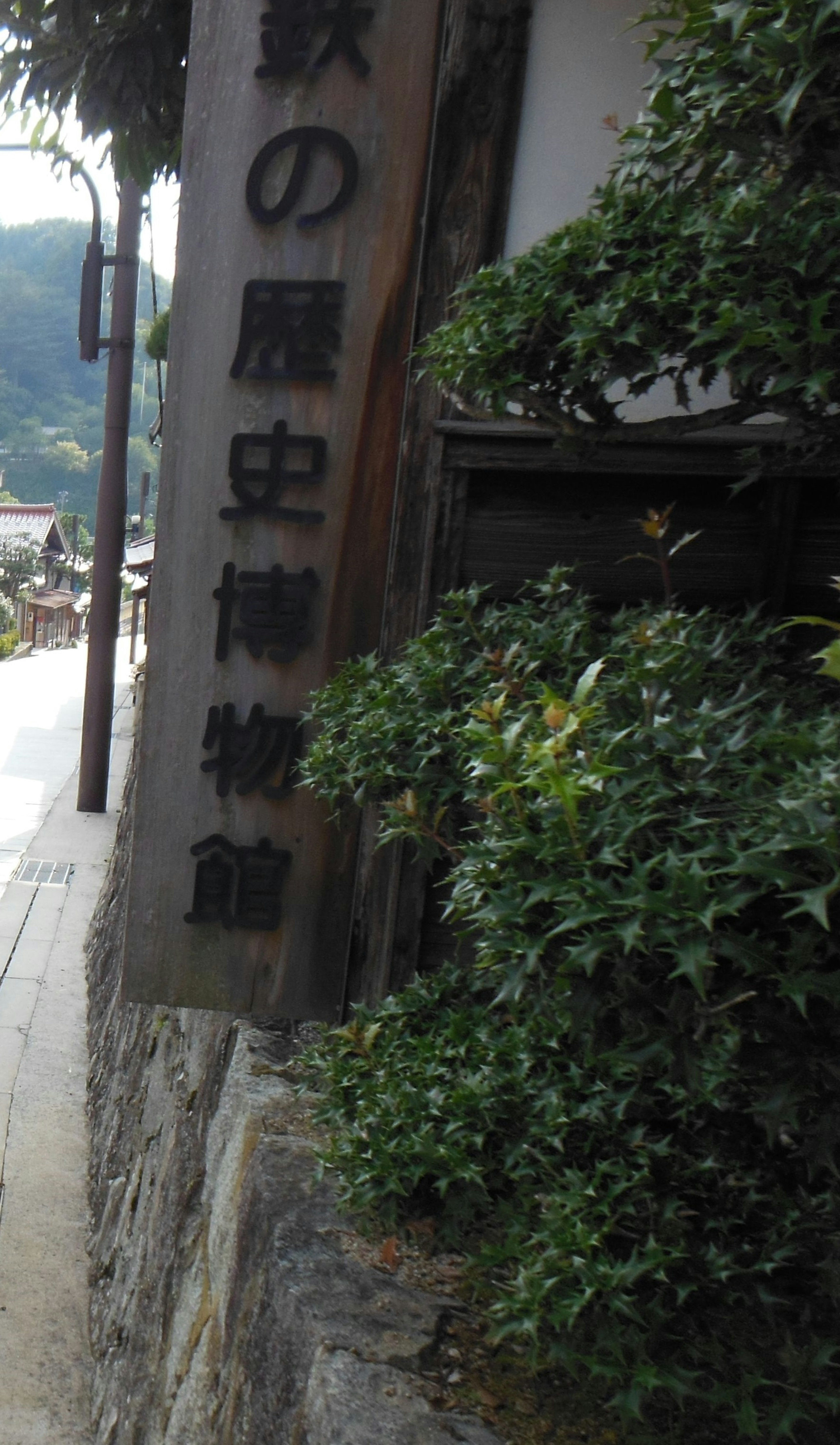 歴史博物館の看板が見える緑の植物に囲まれた風景