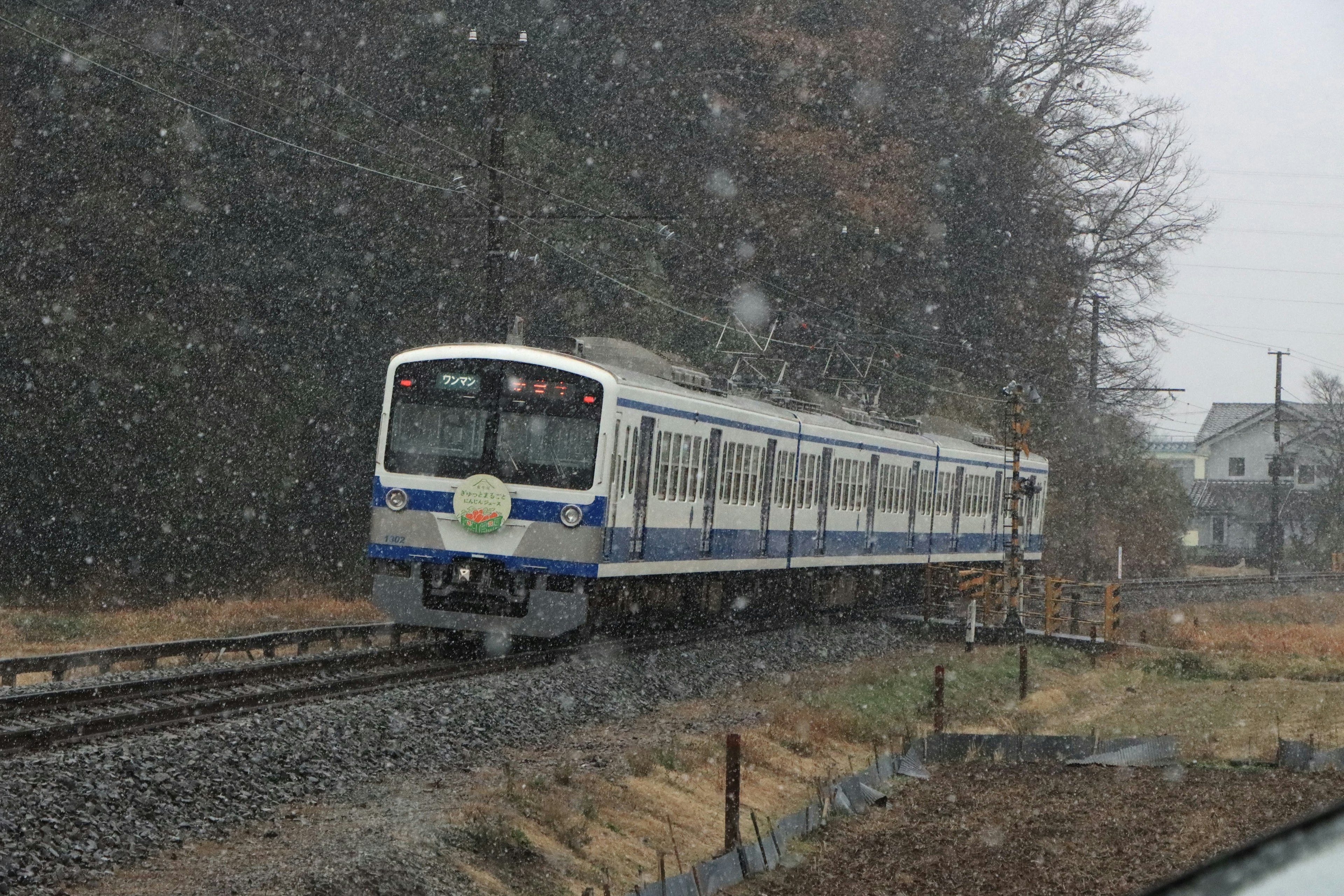 รถไฟสีน้ำเงินและสีขาววิ่งในหิมะพร้อมทิวทัศน์รอบข้าง