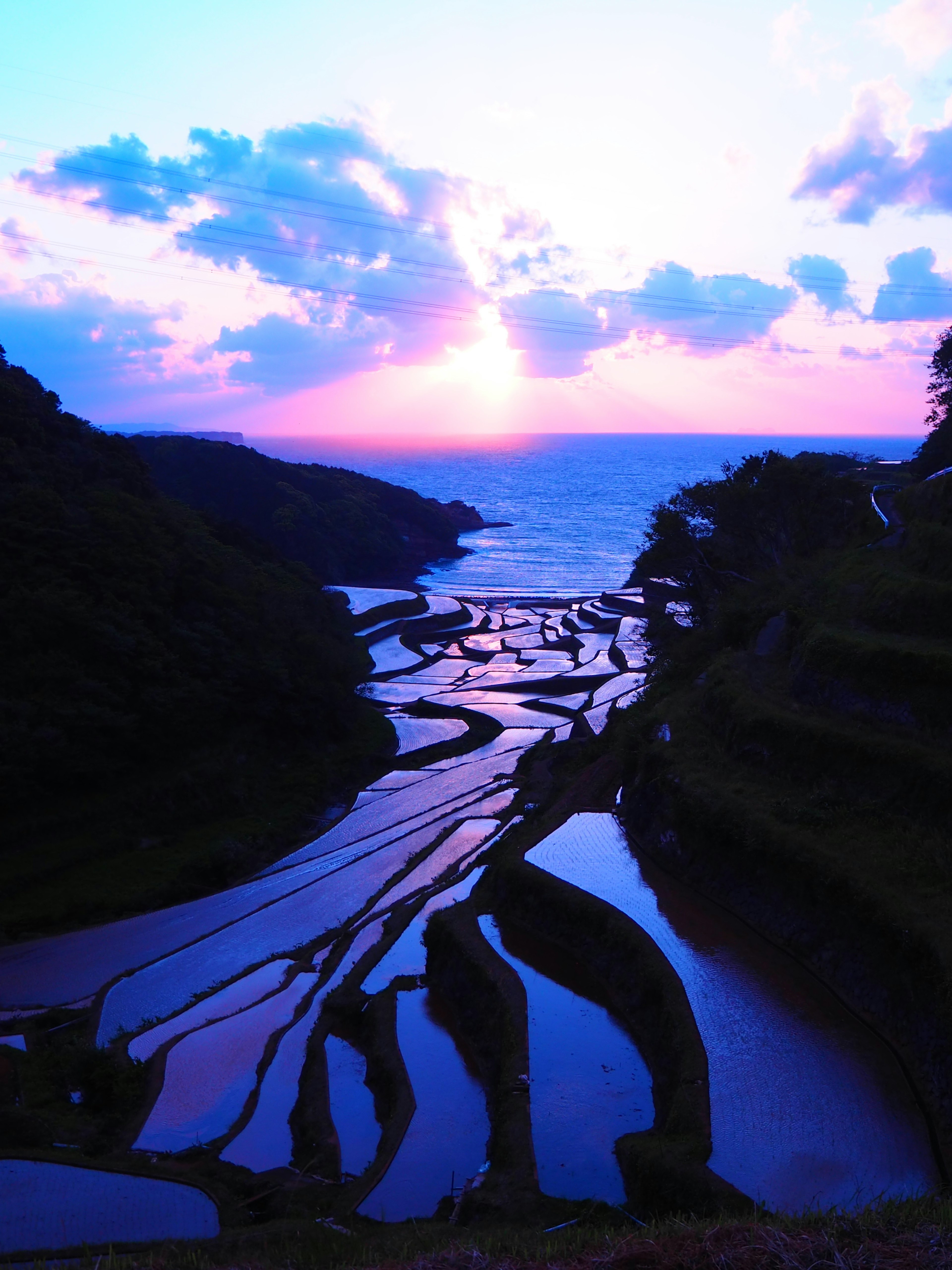 A beautiful sunset view over terraced rice fields leading to the sea